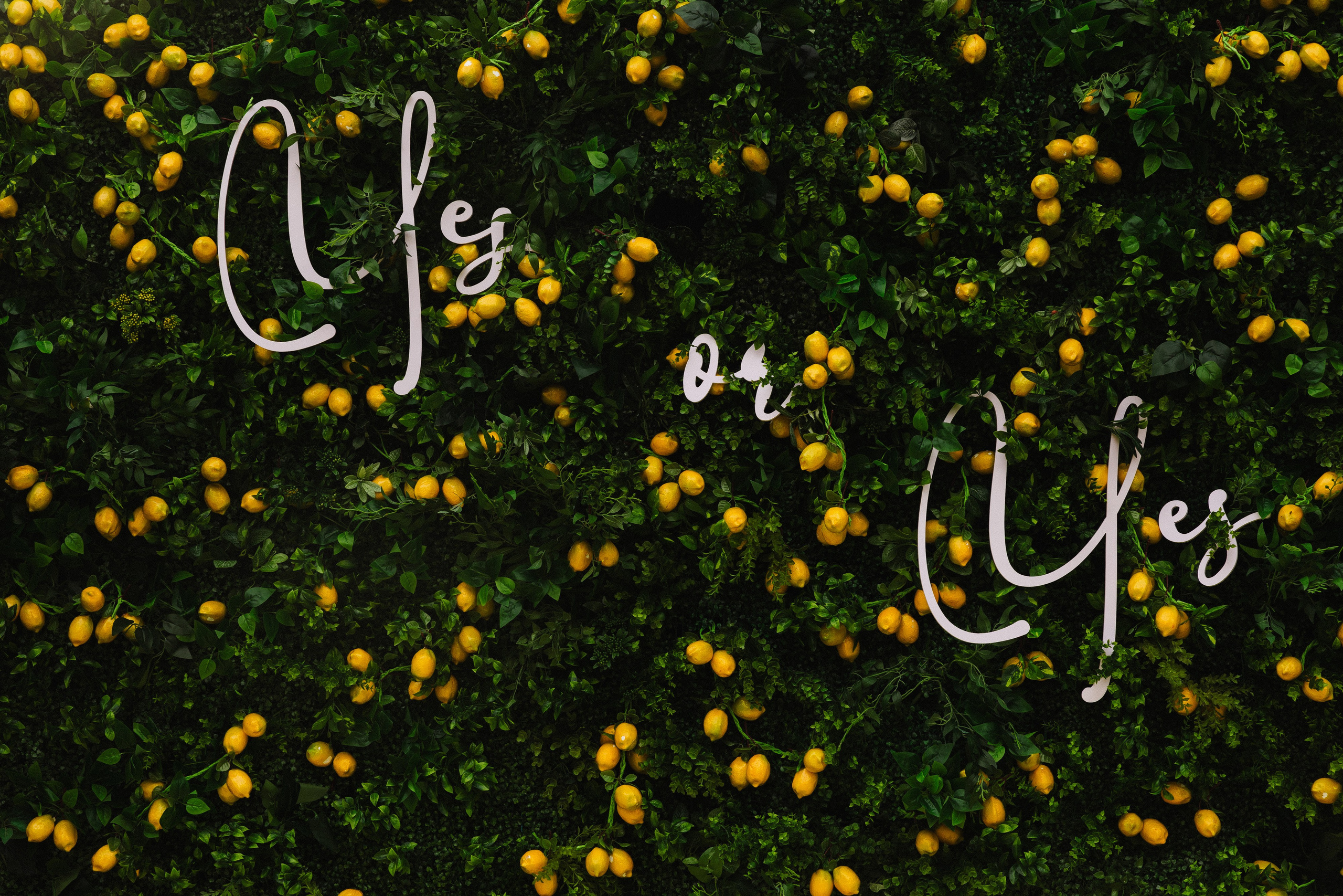 Алмаз и Алина. Азимжан Нуритдинходжаев — свадебный фотограф