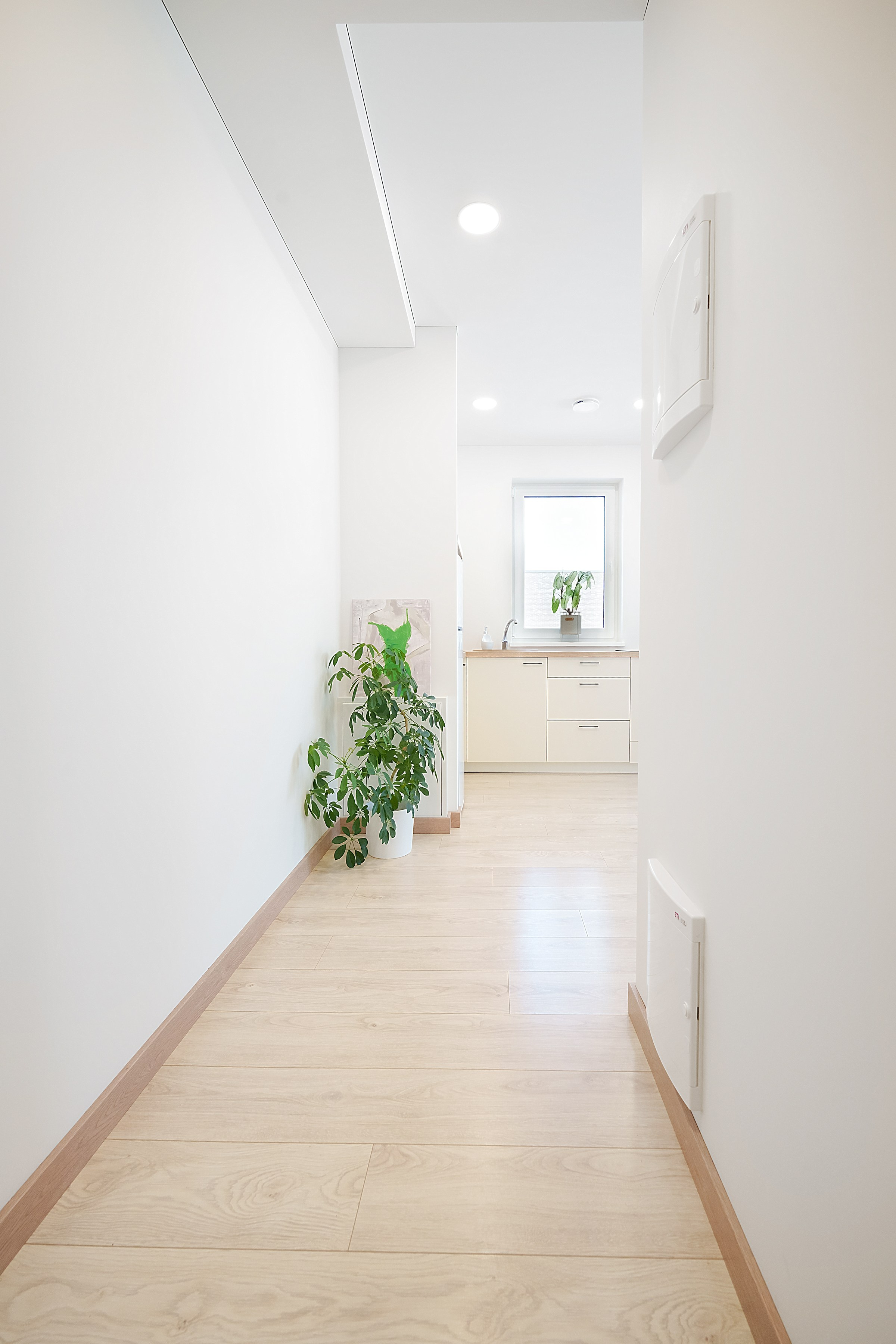 Helsinkio. Elina Sapiega fotografė Vilniuje