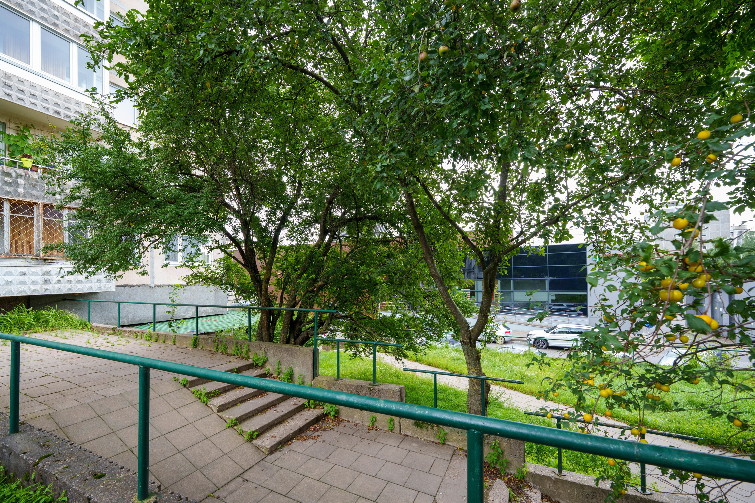 Viršuliškių g.28. Elina Sapiega fotografė Vilniuje