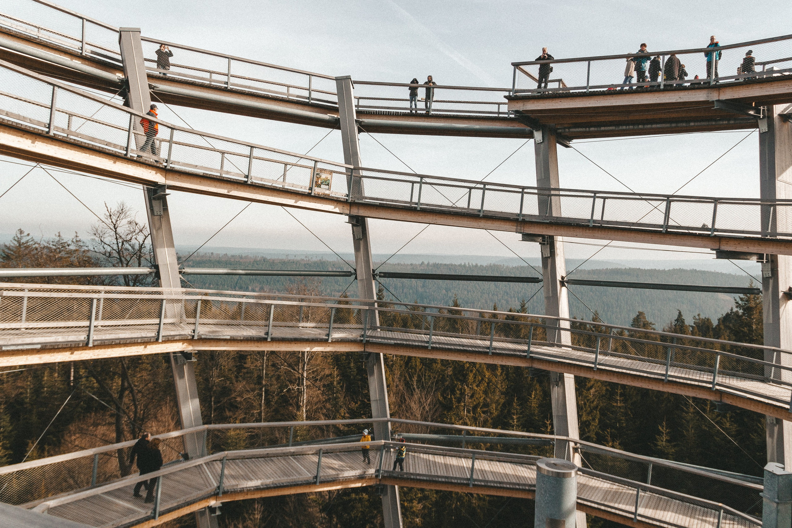 Baumwipfelpfad in Bad Wildbad. Maria Chistyakovа — Fotografin in Karlsruhe, Baden-Baden und Umgebung