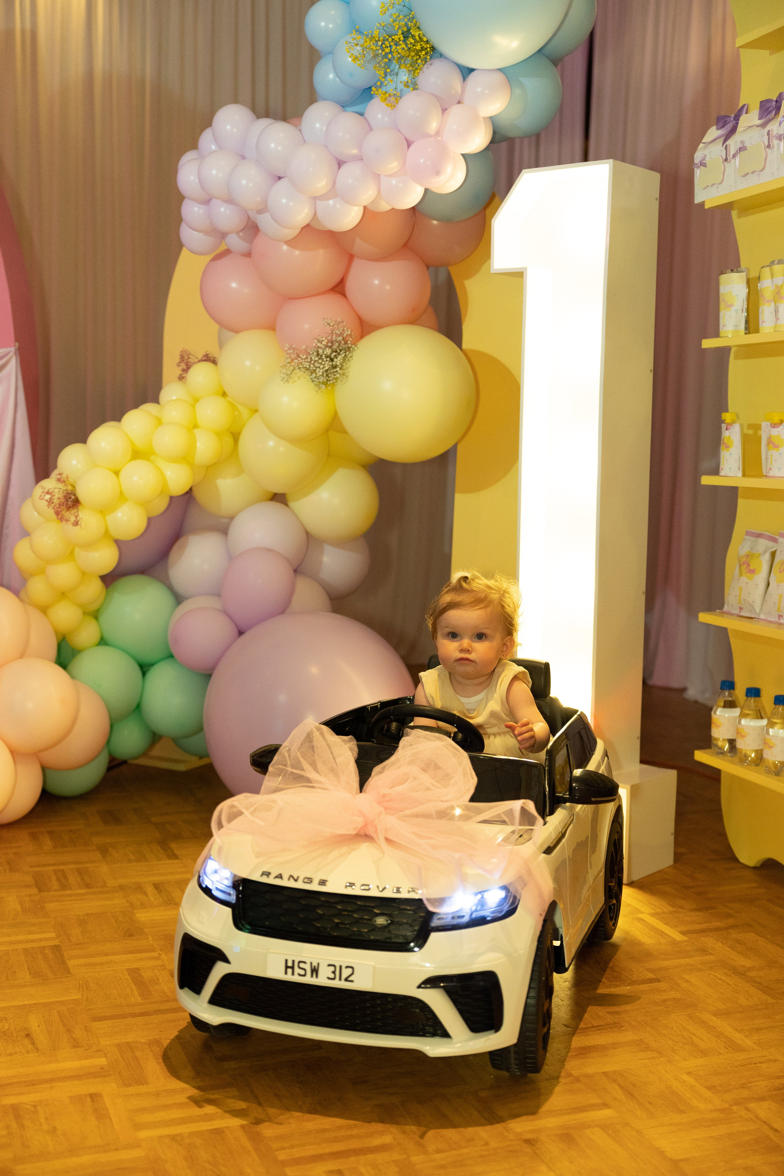 1 st Birthday. Portrait and Family Photographer in Netherlands