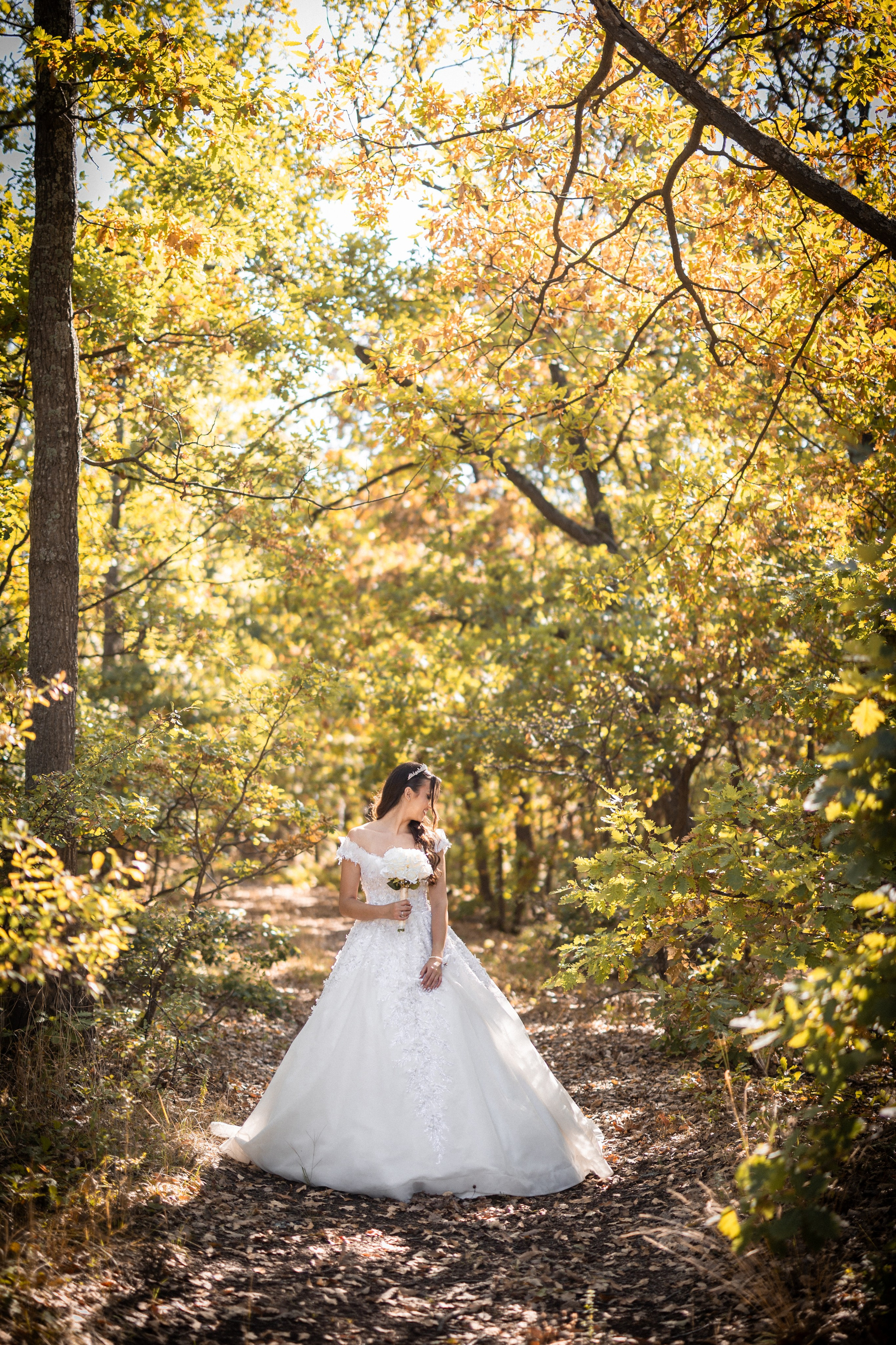 Photography. Alexandar weddings: Home