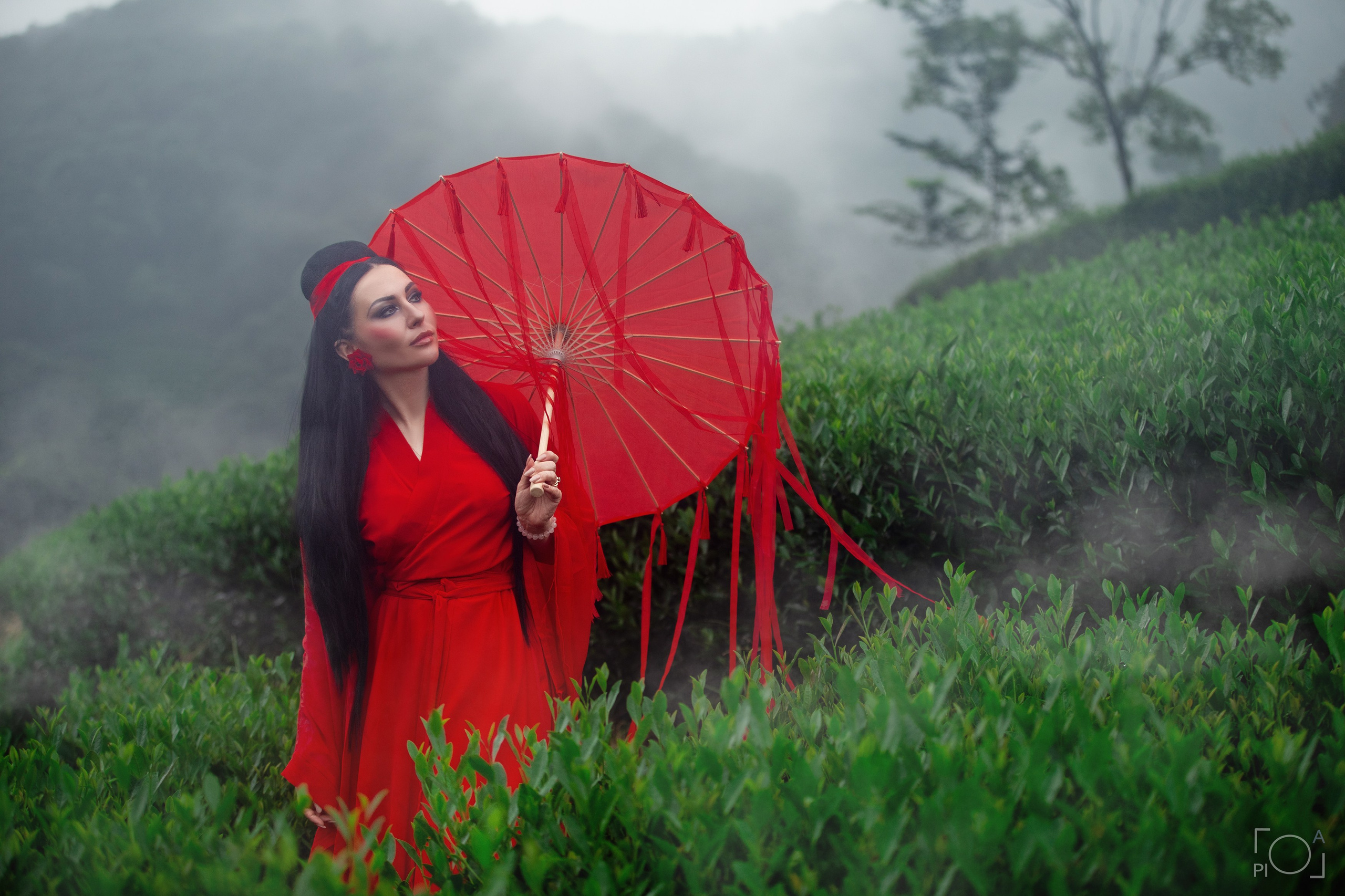 Photo shoot at tea plantations in Hangzhou, China. Authentic long-haired brunette in red Chinese board with red Chinese umbrella. Photographer - Lola Pidluskaya. Offsite photo shoot
