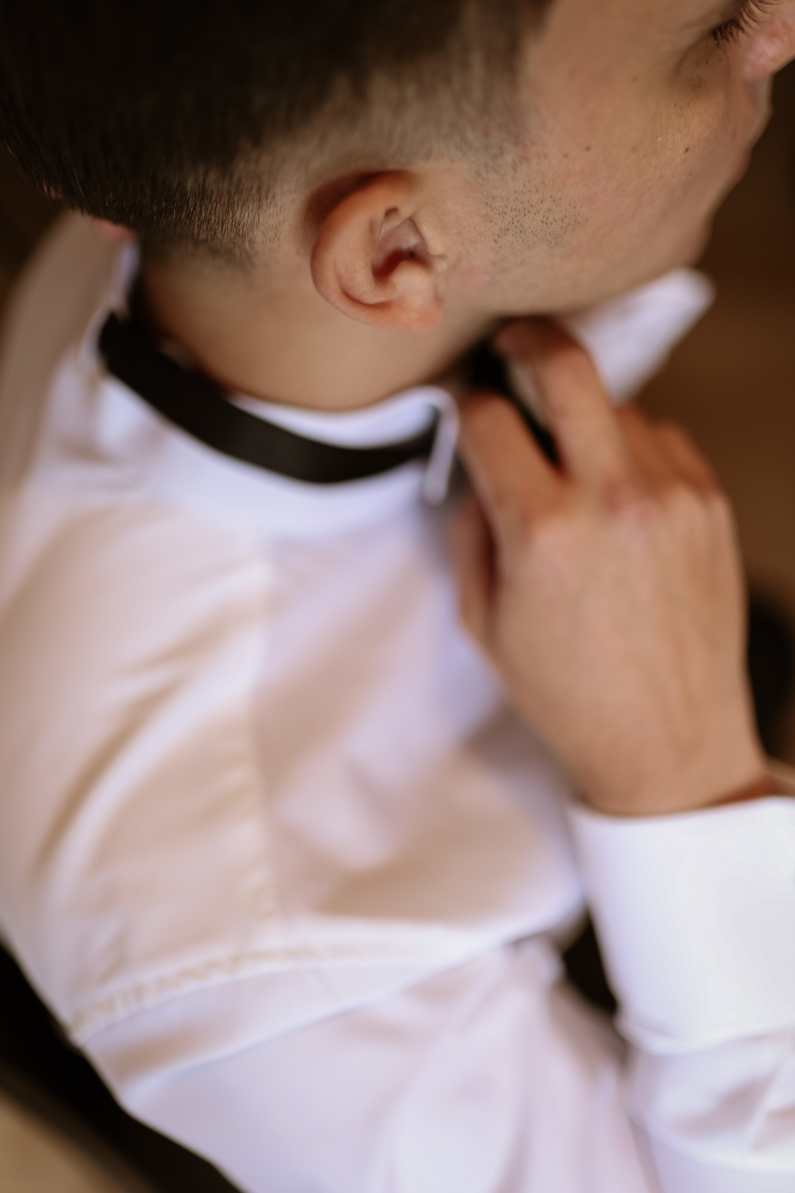 Wedding’s. Filić Aleksandar