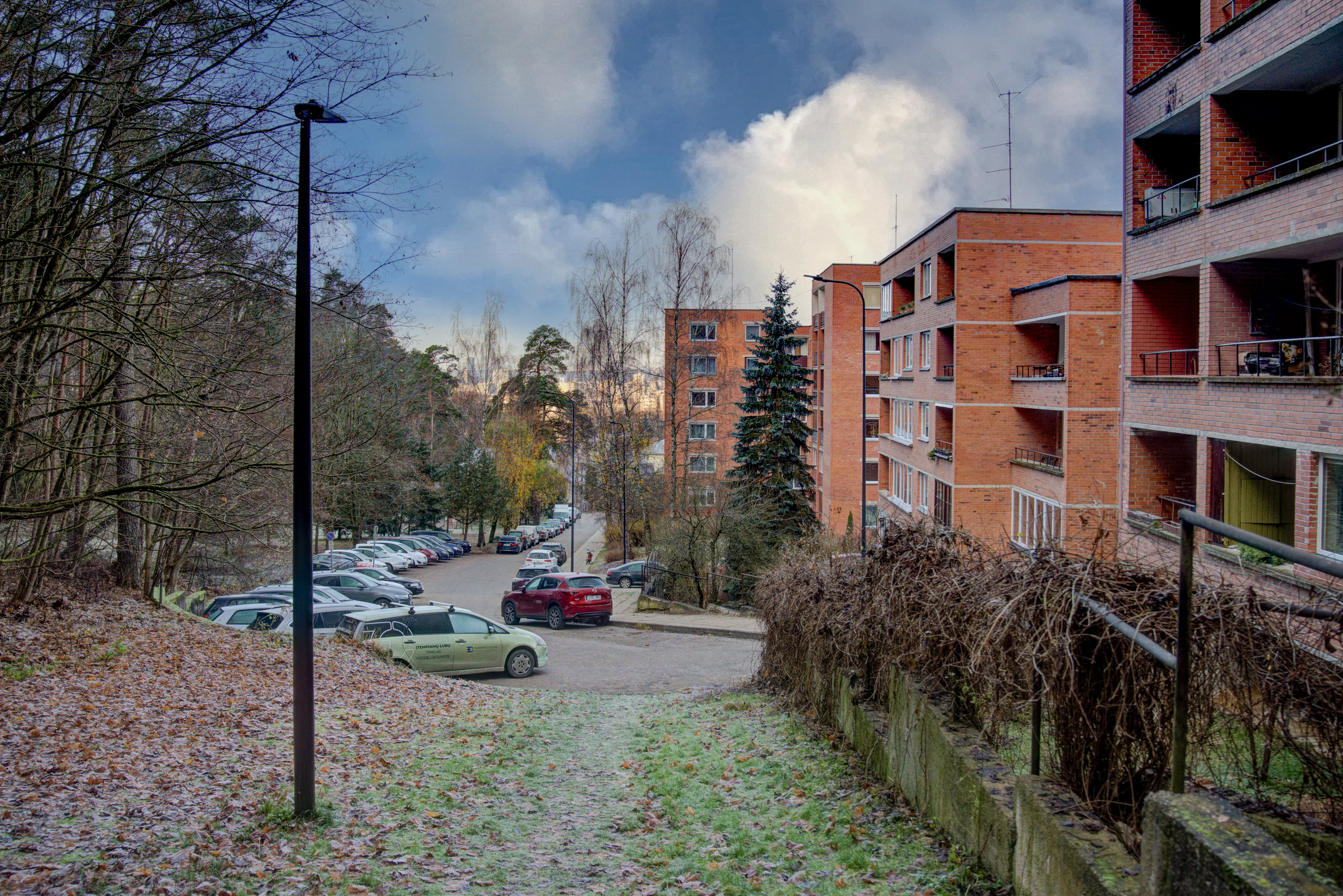 Dronas Antakalnis, Kanklių 10. Elina Sapiega fotografė Vilniuje