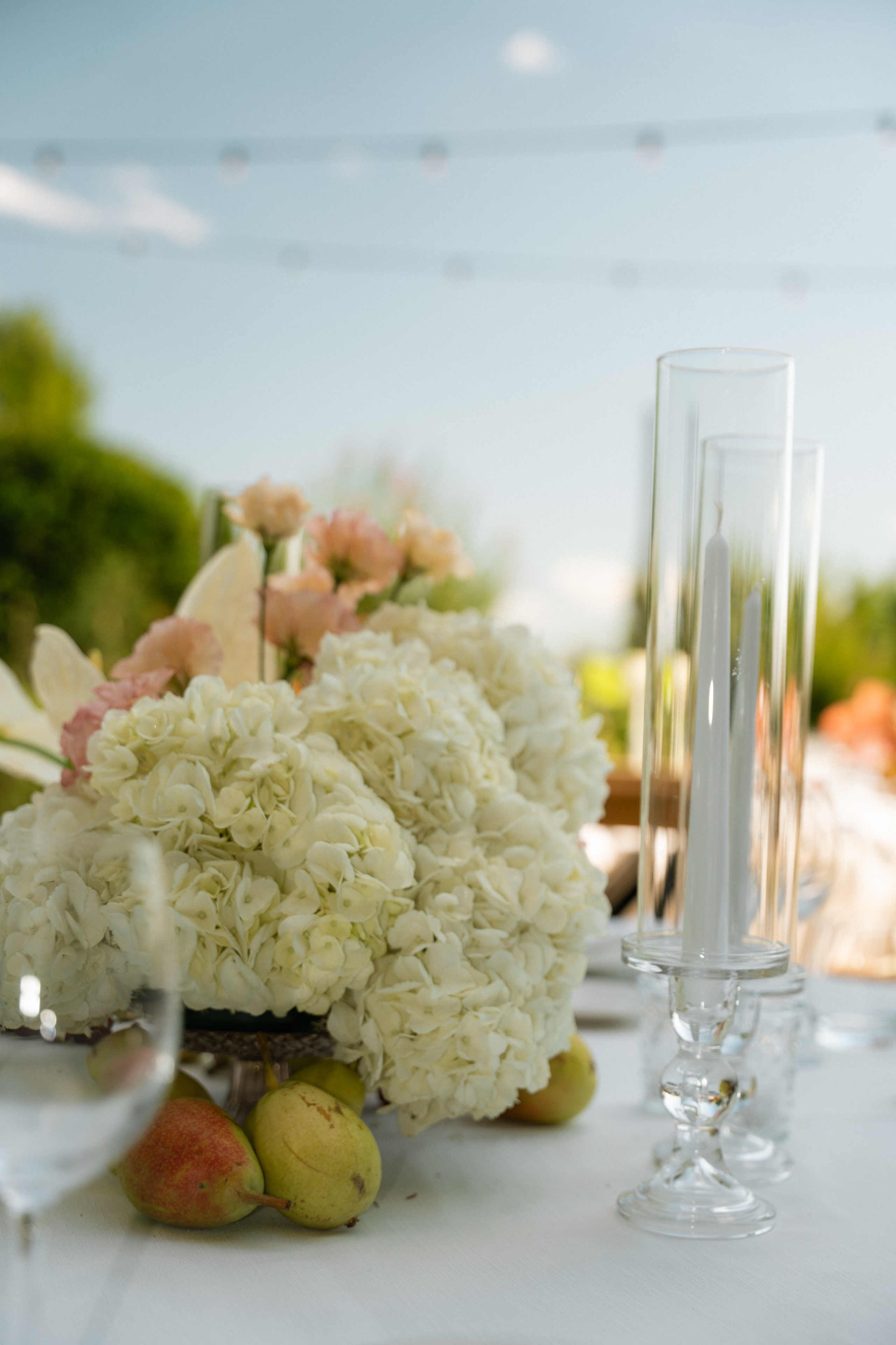 Wedding Thor and Julie