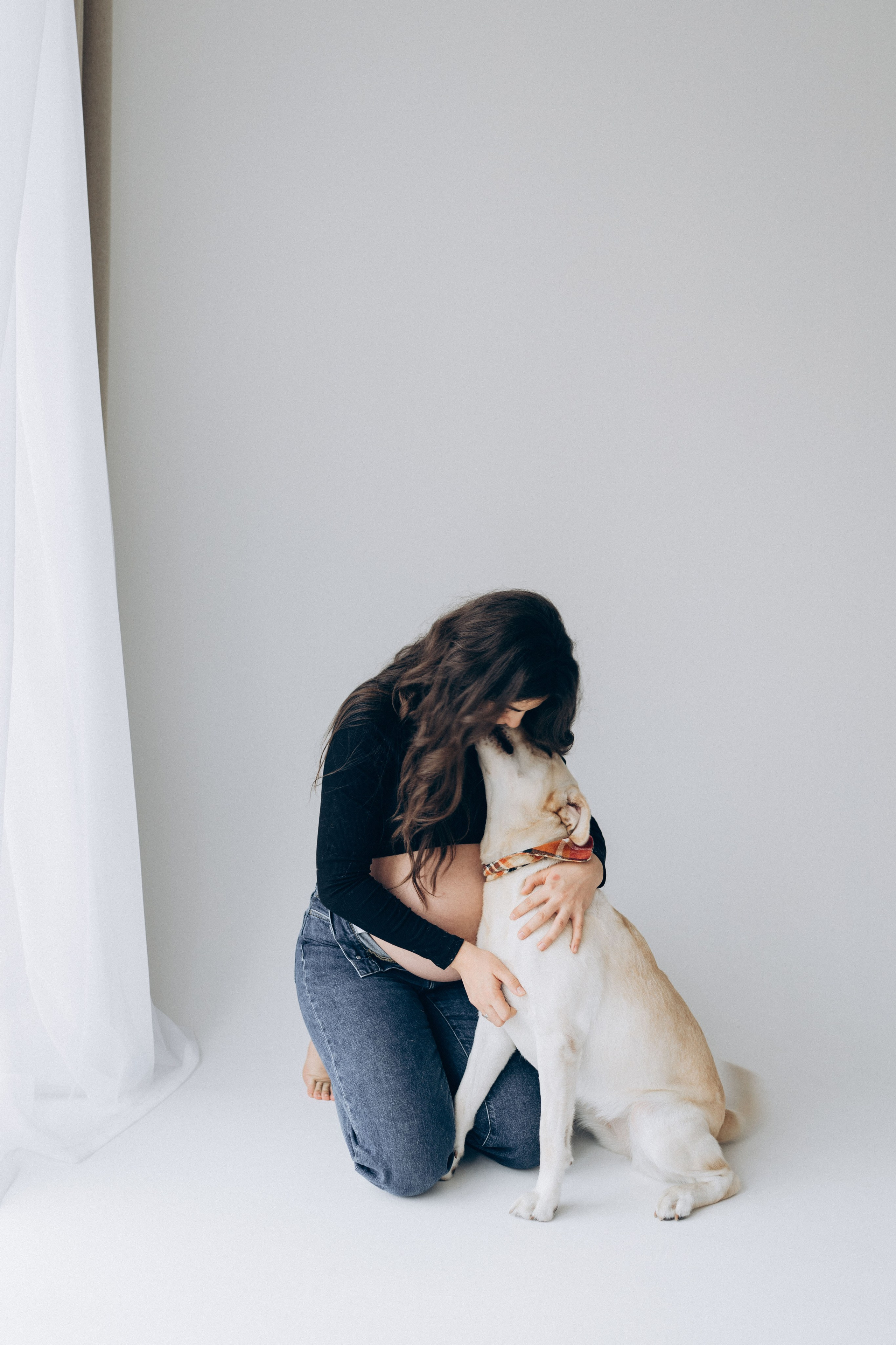 Pregnant Story. Main