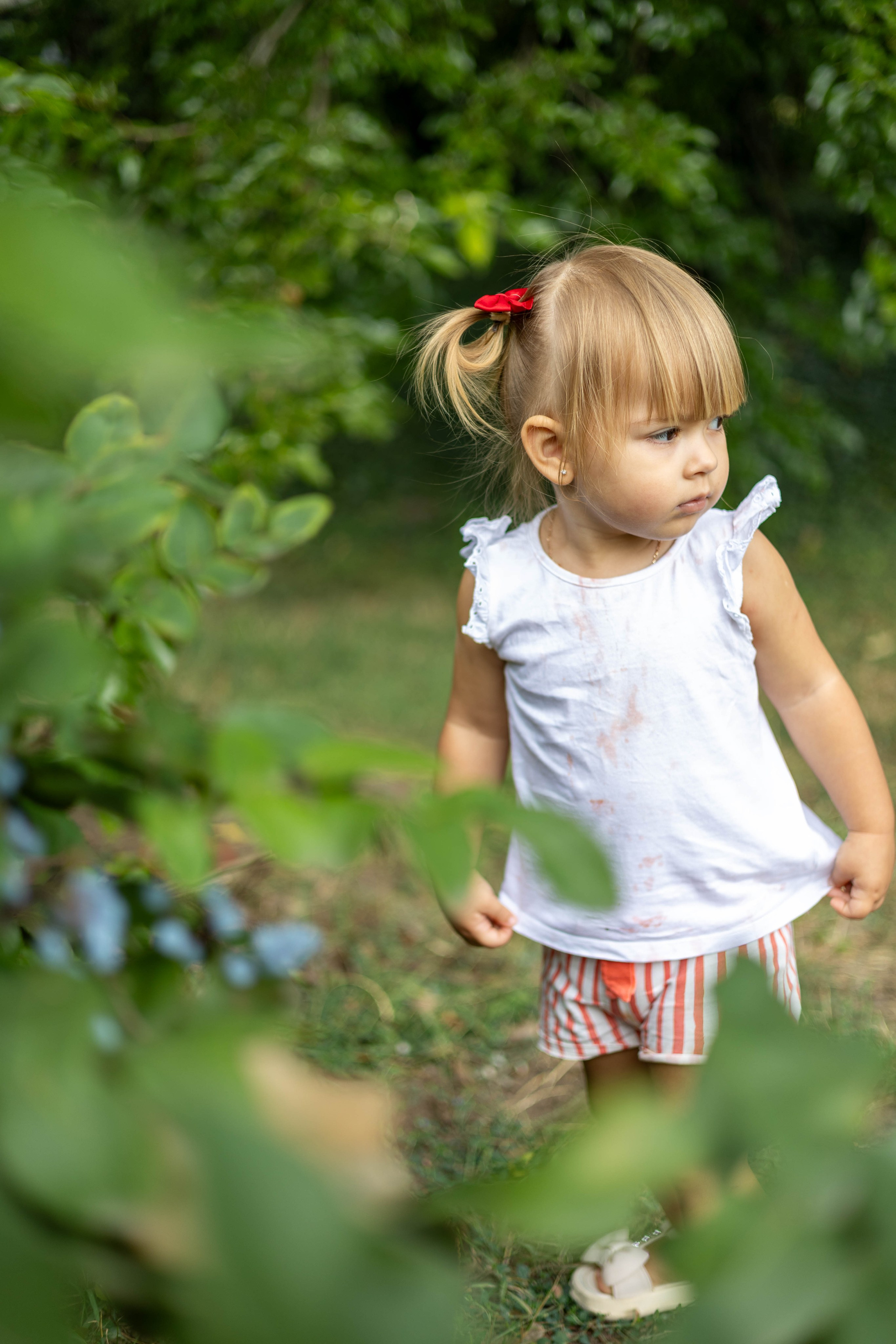 Фотосессия девочки с арбузом в зелёном парке Кишинёва. Семейный фотограф Кишиневе, Молдова Врабий Ольга