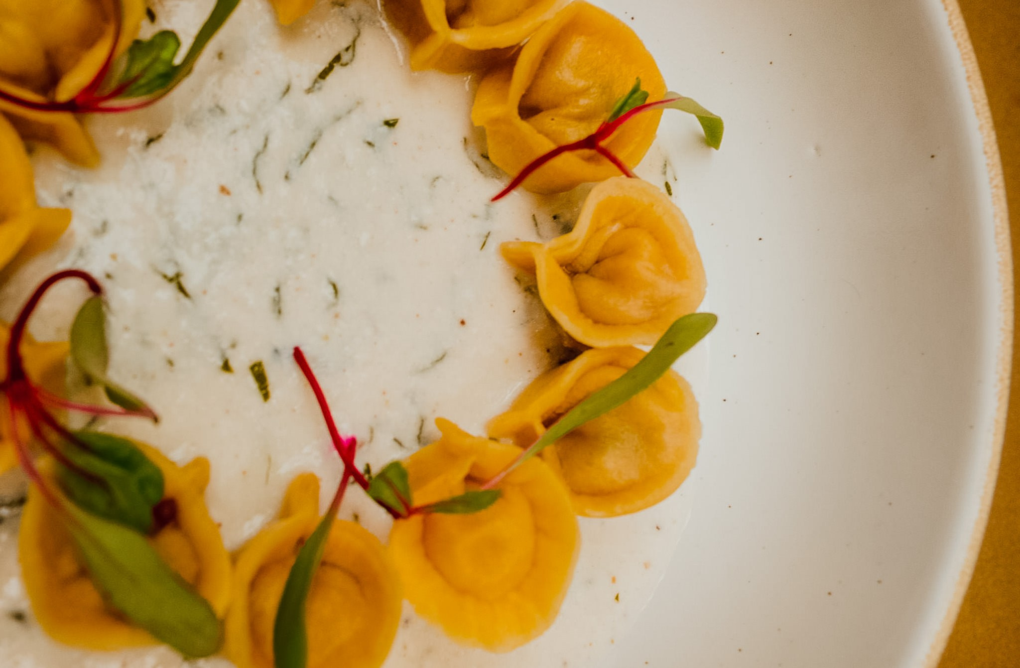 Casa Mila. Wedding and family photographer in Mexico City