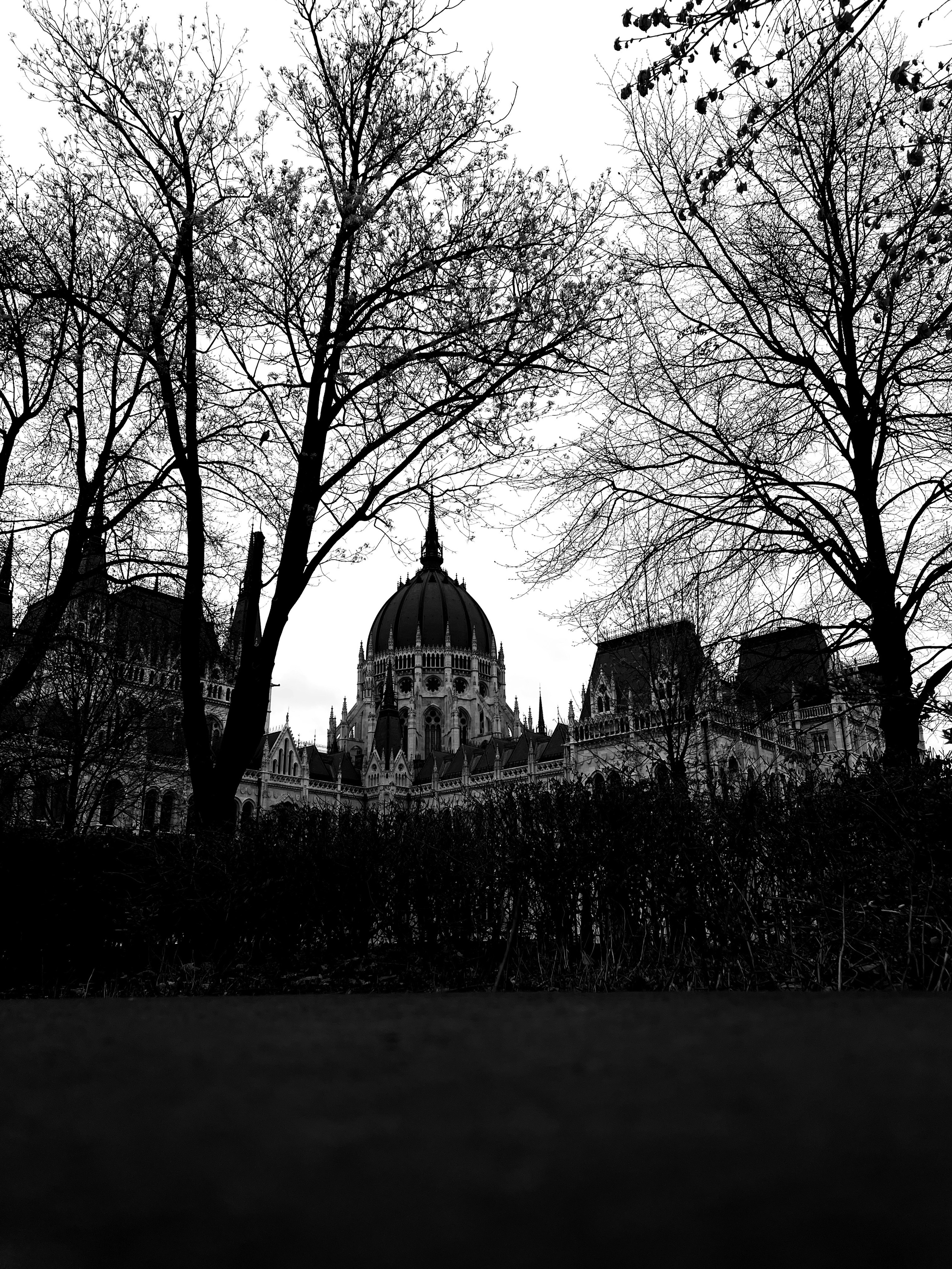 masterpiece | Budapest 2026 | IPHONE 12 PRO