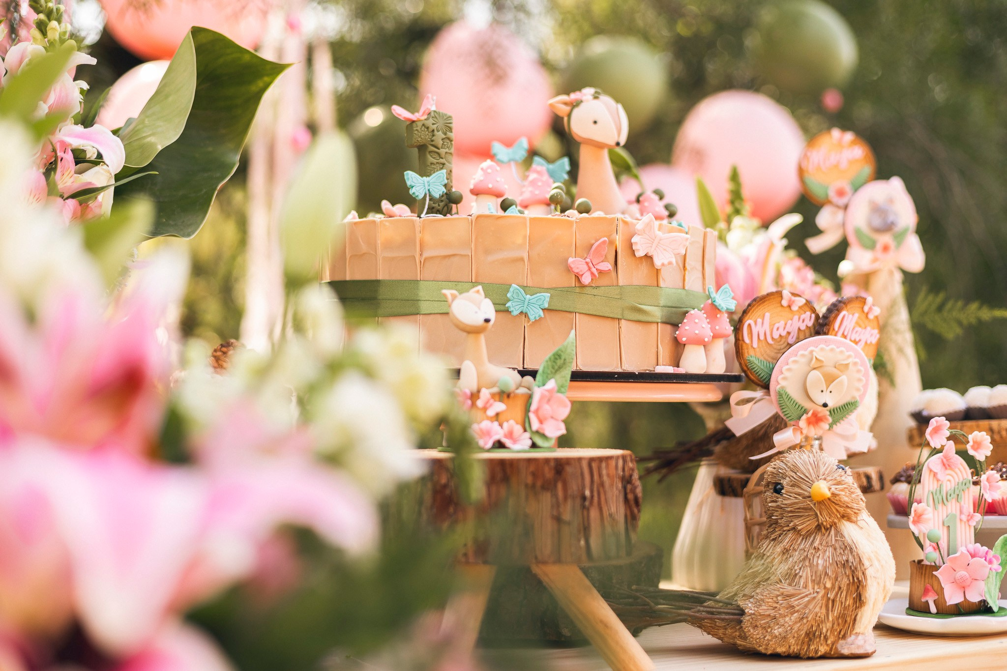 Aniversário infantil. Fotografo Atibaia | Gabriel Sucena Fotografia