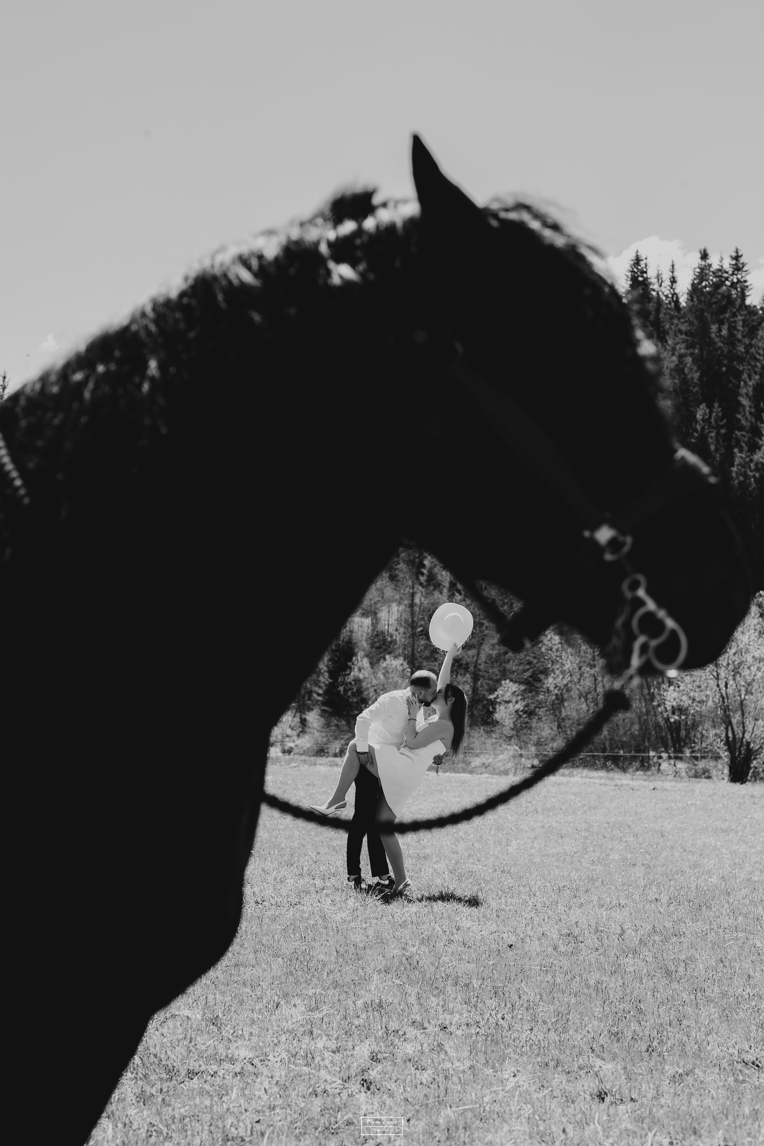 Save The Date — Ioana & Cătălin. Pagină Principală