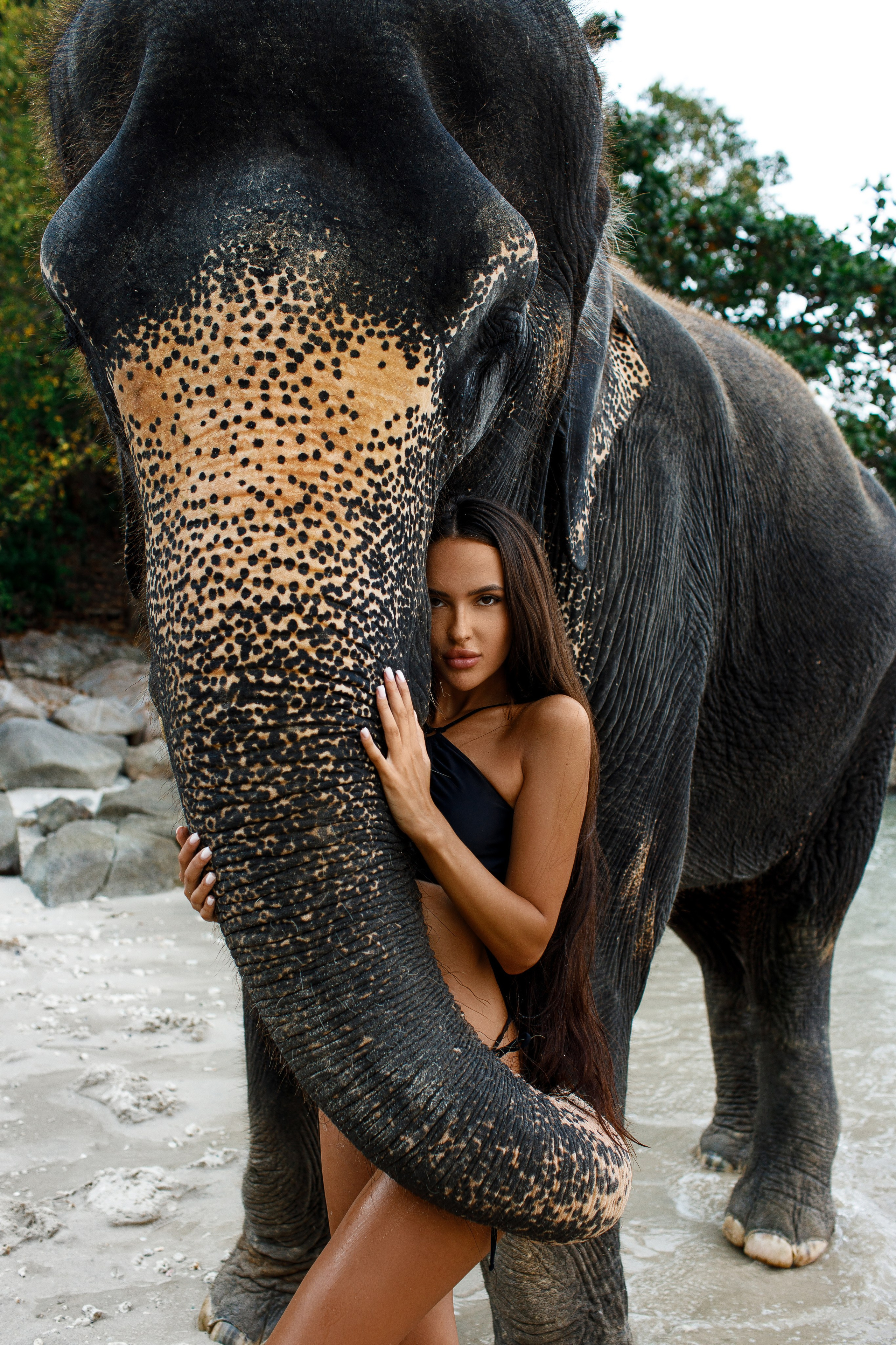 Photo with elephant. Photographer in Phuket. Photographer Thailand