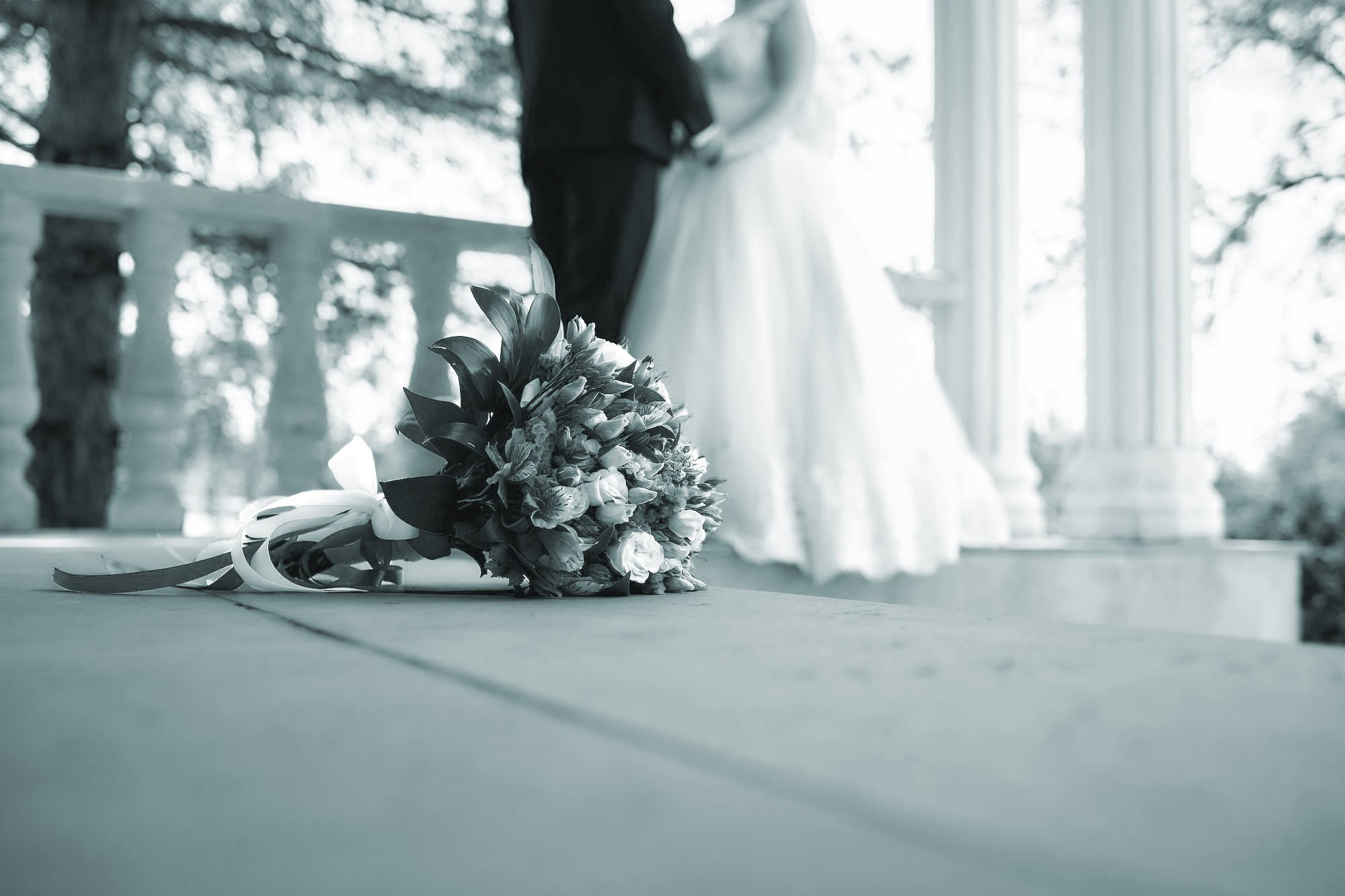 Selim Muminov Photographer in NY & NJ