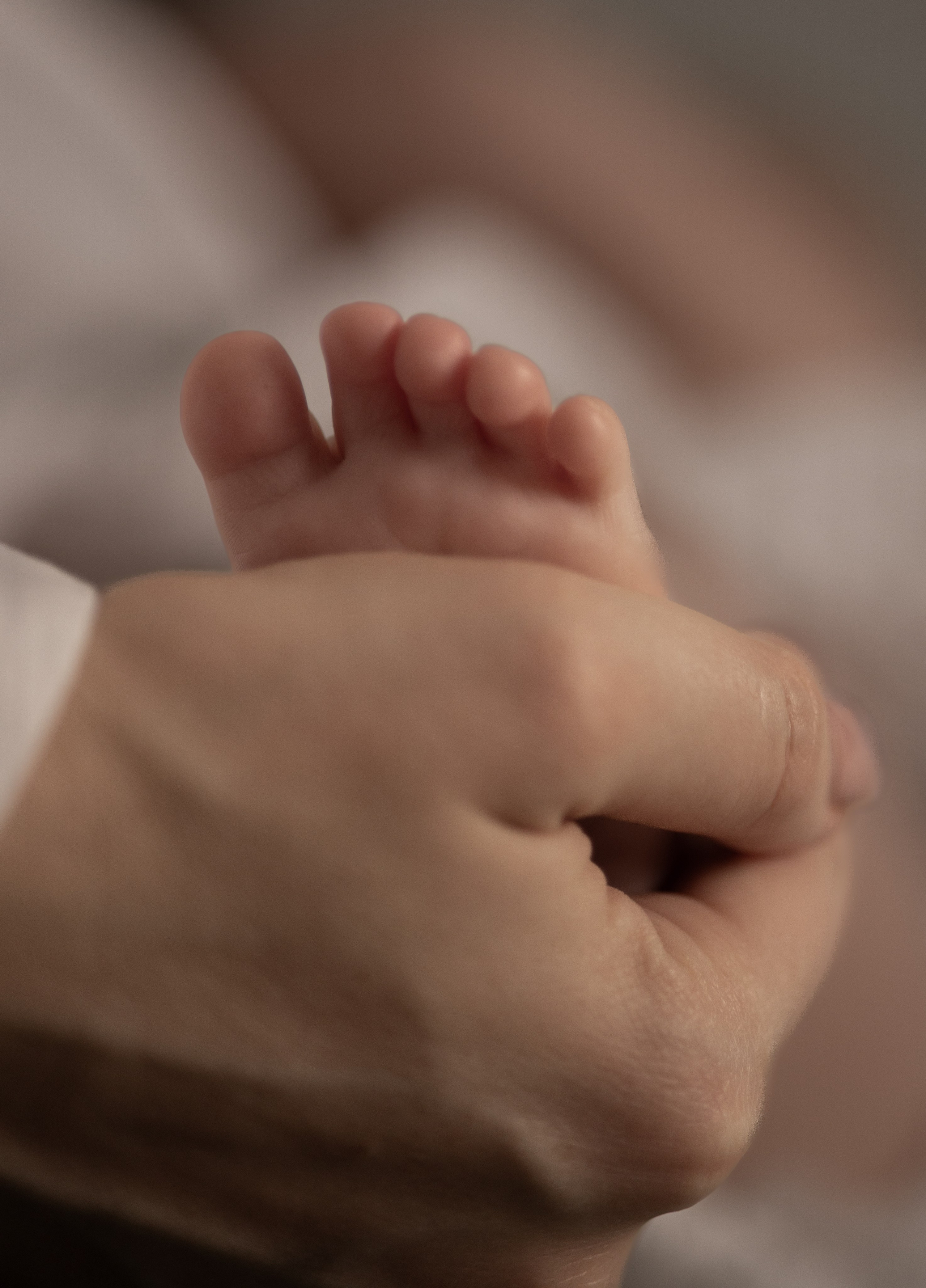 Newborn. Family and Wedding photographer