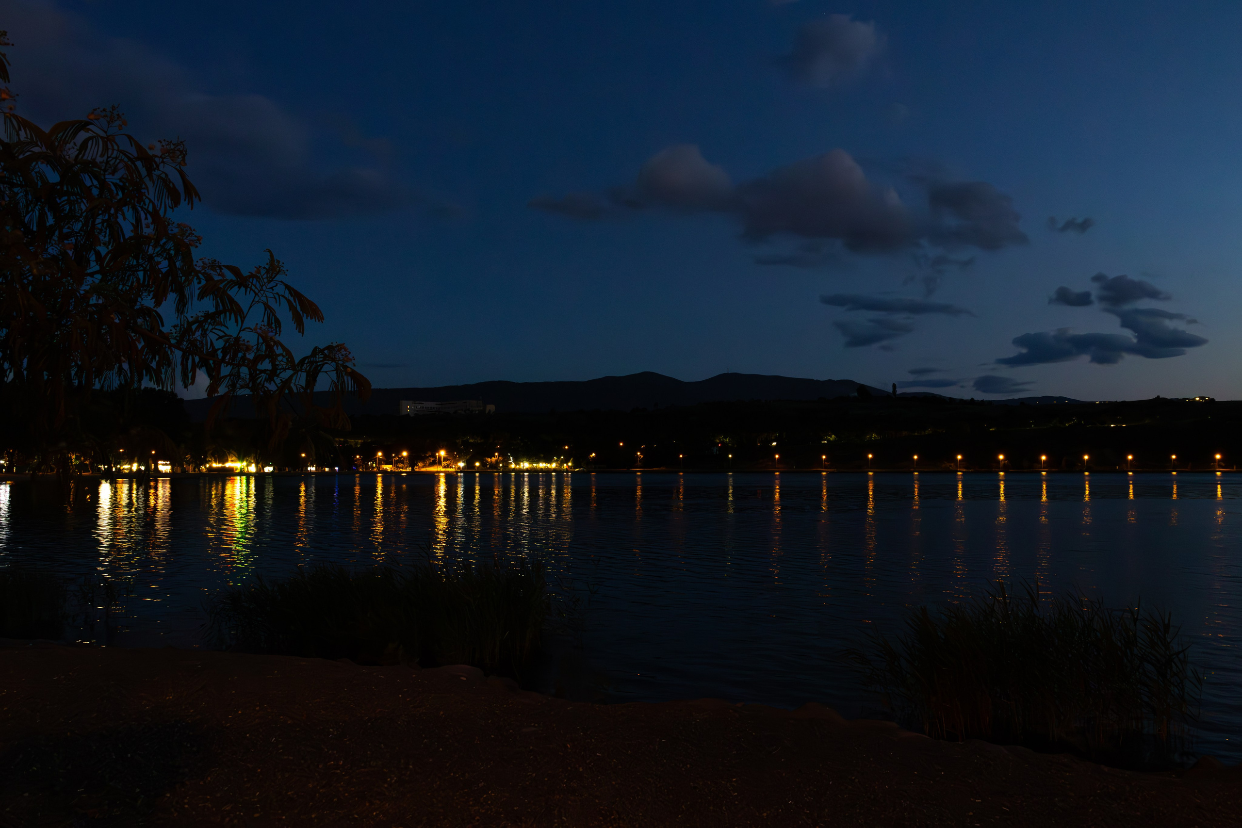 დაისი ლისი. FramefreeMan