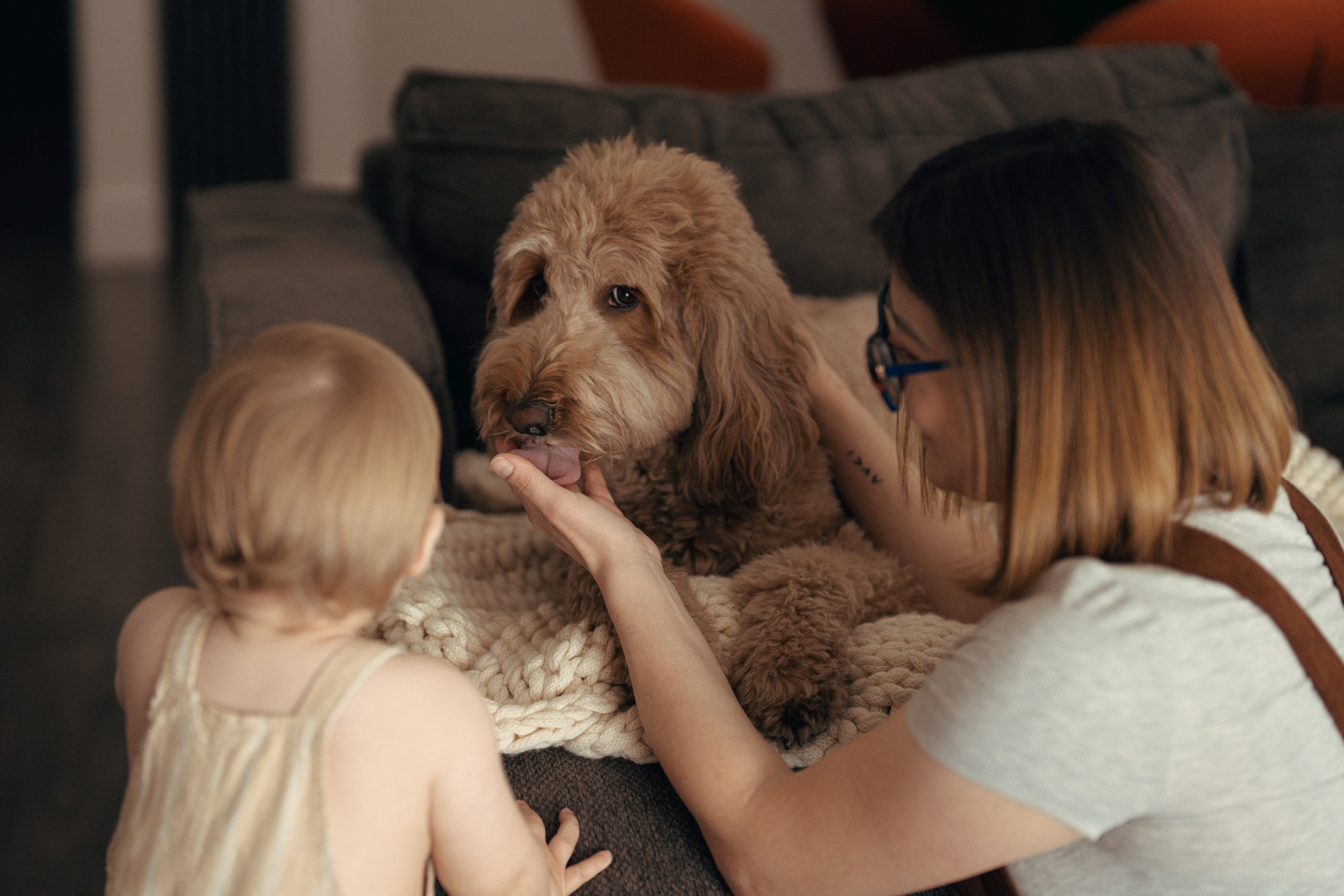Liam Noah, Angela & Cooper. Wedding & elopement photographer Viktoriya Kravtsov. Las Vegas