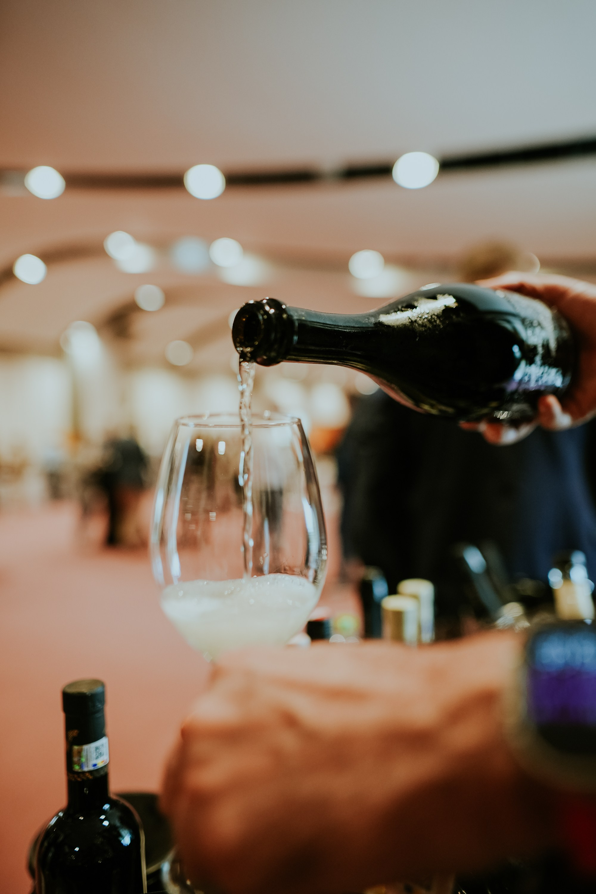 Hai cu Pluta — Wine Event. MARINABUGS