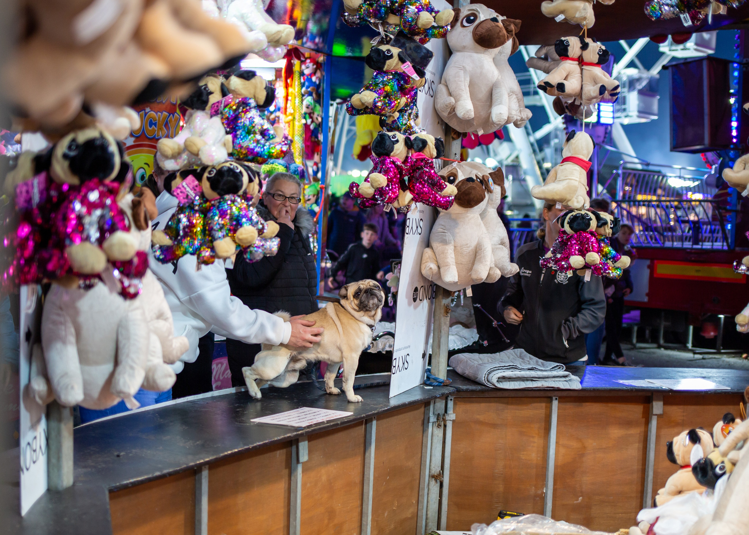 One Free Ride Project. Marcin Riehs Photography|Esports|Events|Nightlife