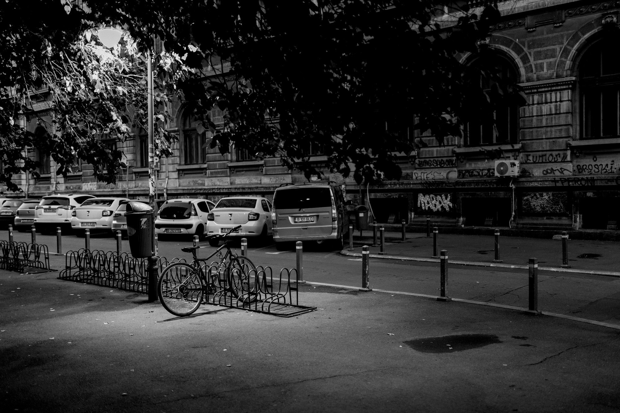 Monochrome. A Creative Insight | Catalin Nastase