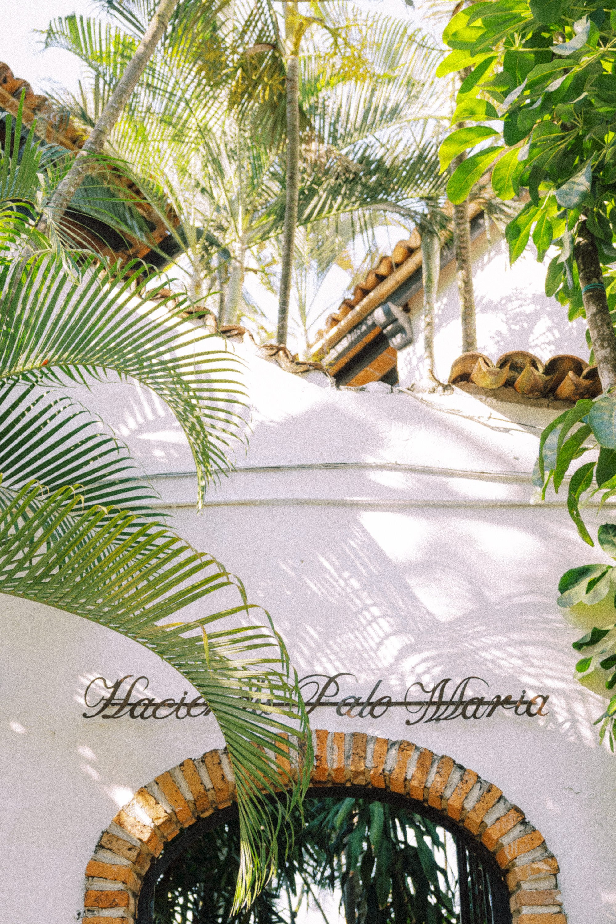 Wedding in Palo Maria. Sayulita Wedding Photographer, Puerto Vallarta, Cabo