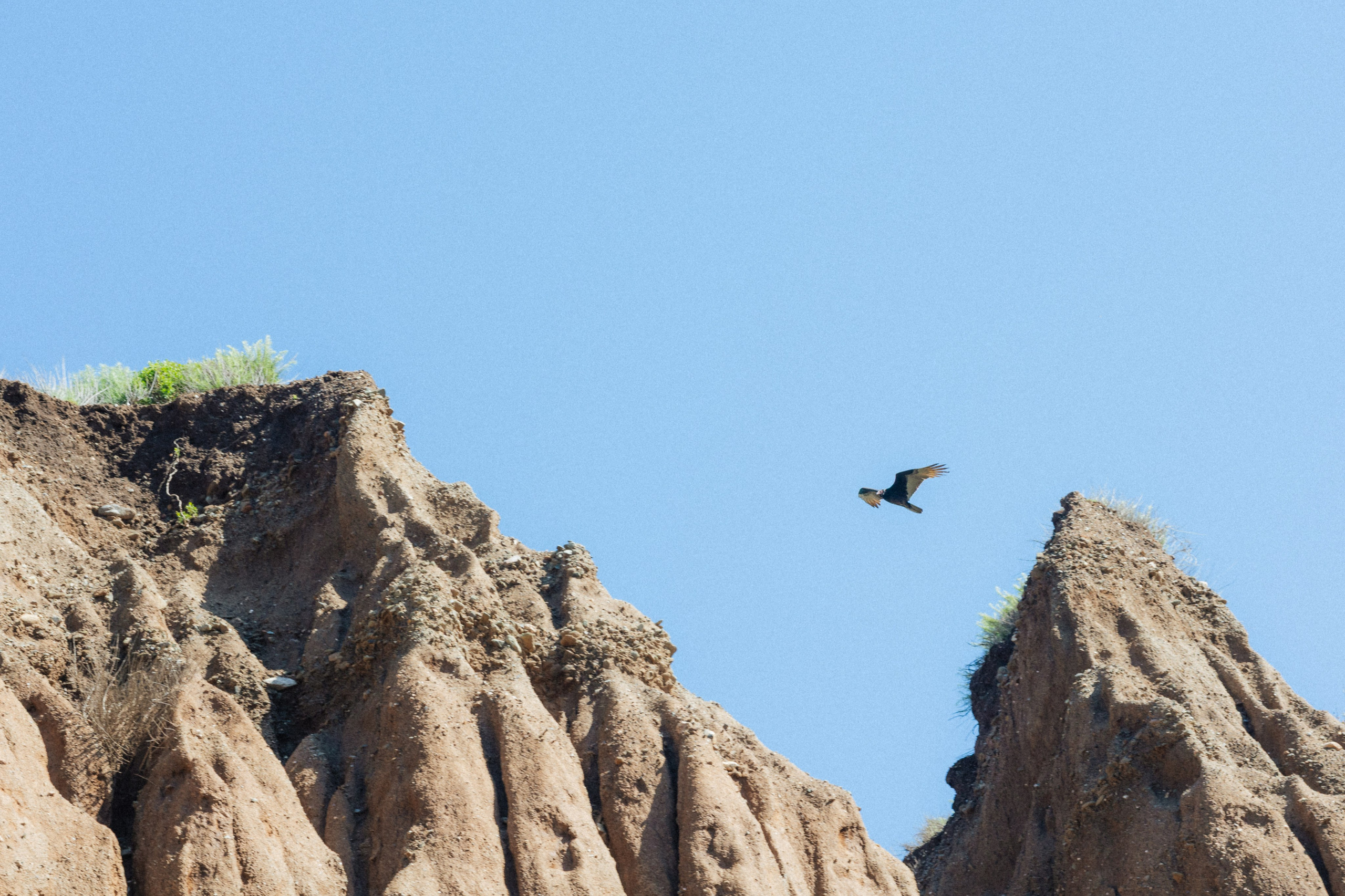 Los Angeles. Aleks.photo | Book a photoshoot