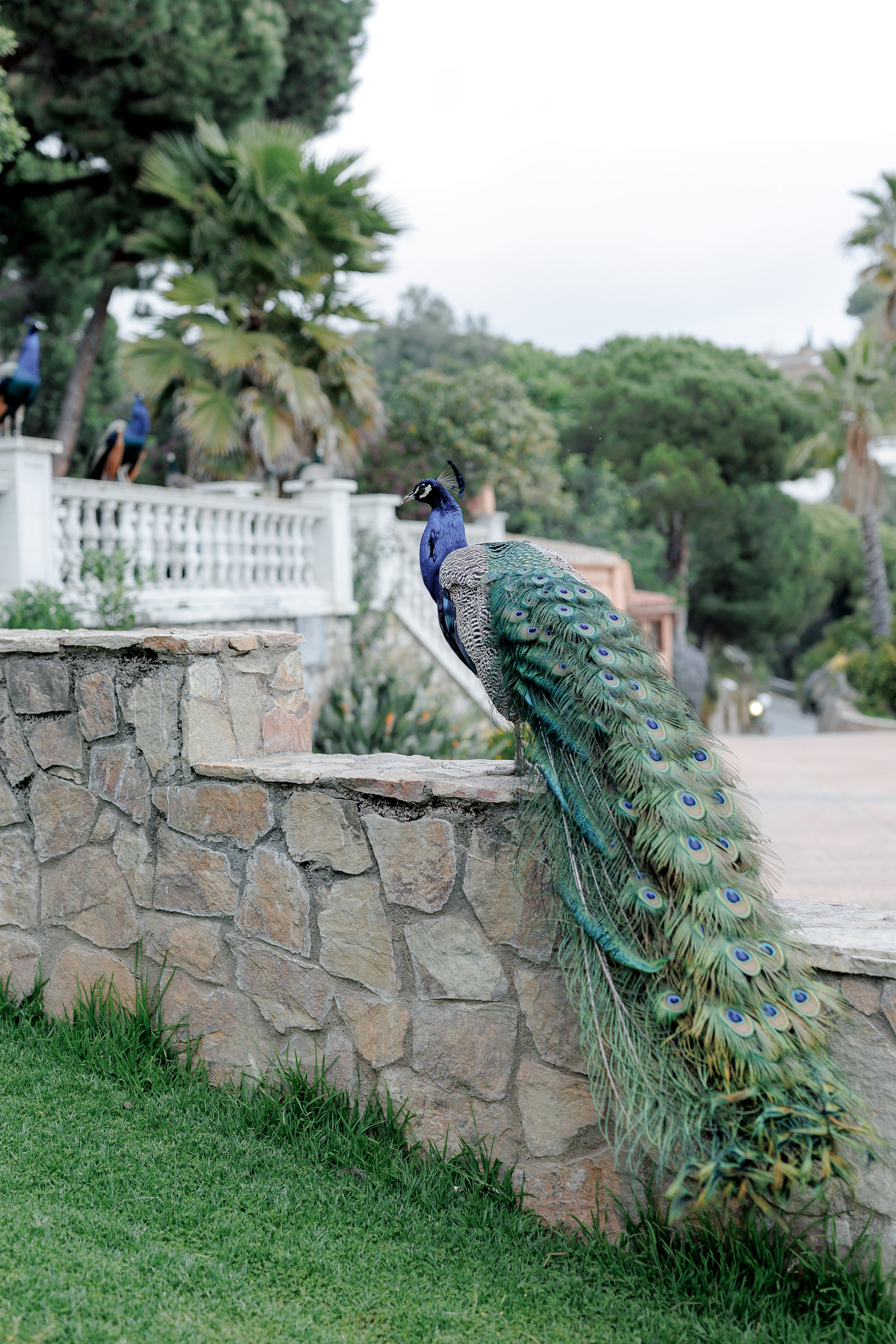 Cristina & Ferran, Can Marial. Wedding Photographer in Barcelona Lana Alekhina