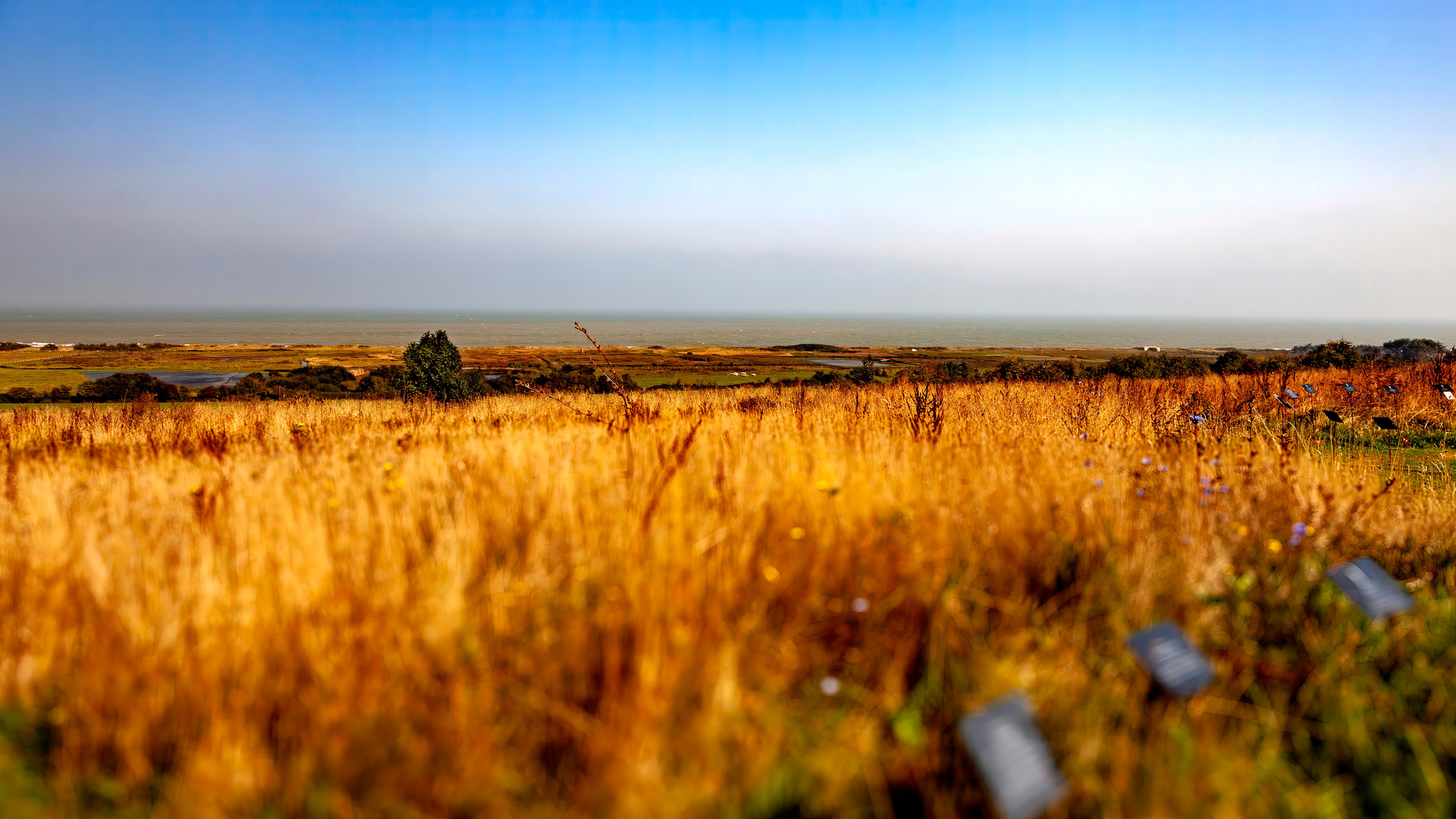 177.British Normandy Memorial.France.19.9.2024. Путешествия в формате 360......