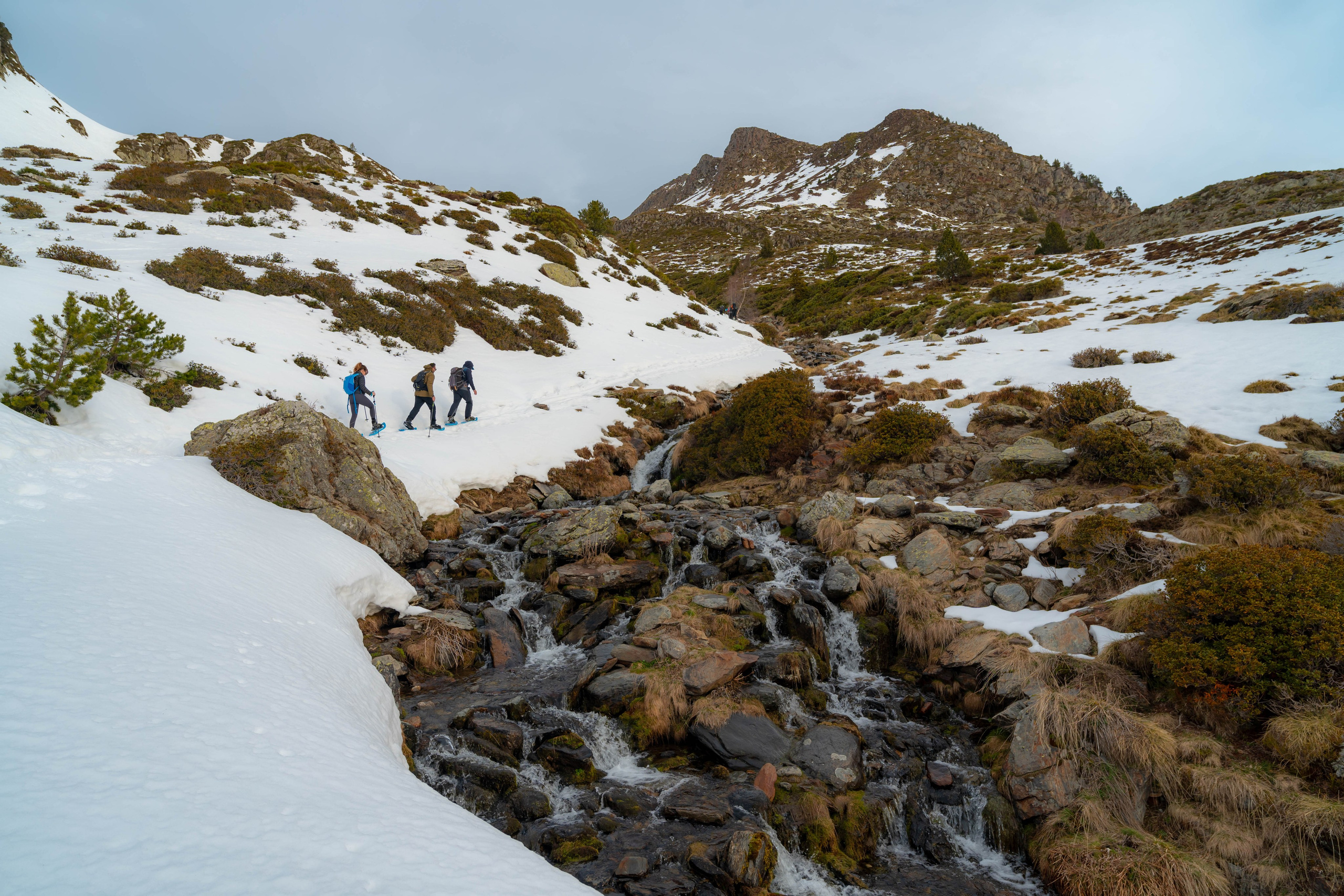 Ruta Comas de Fort. Alba del Norte Studio