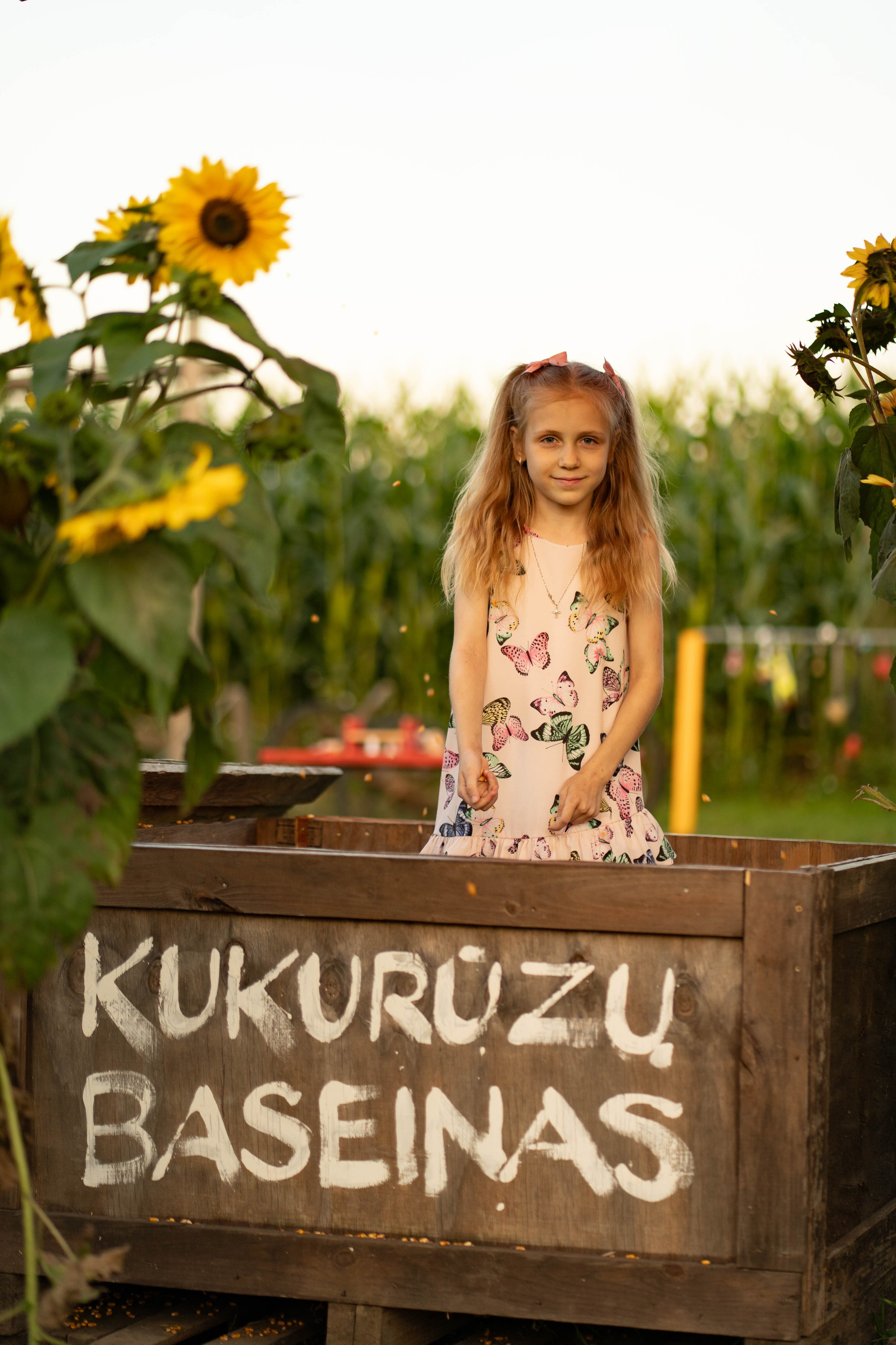 Renata — šeimos fotosesija kukurūzų lauke. Fotografija — Olga Bojarin