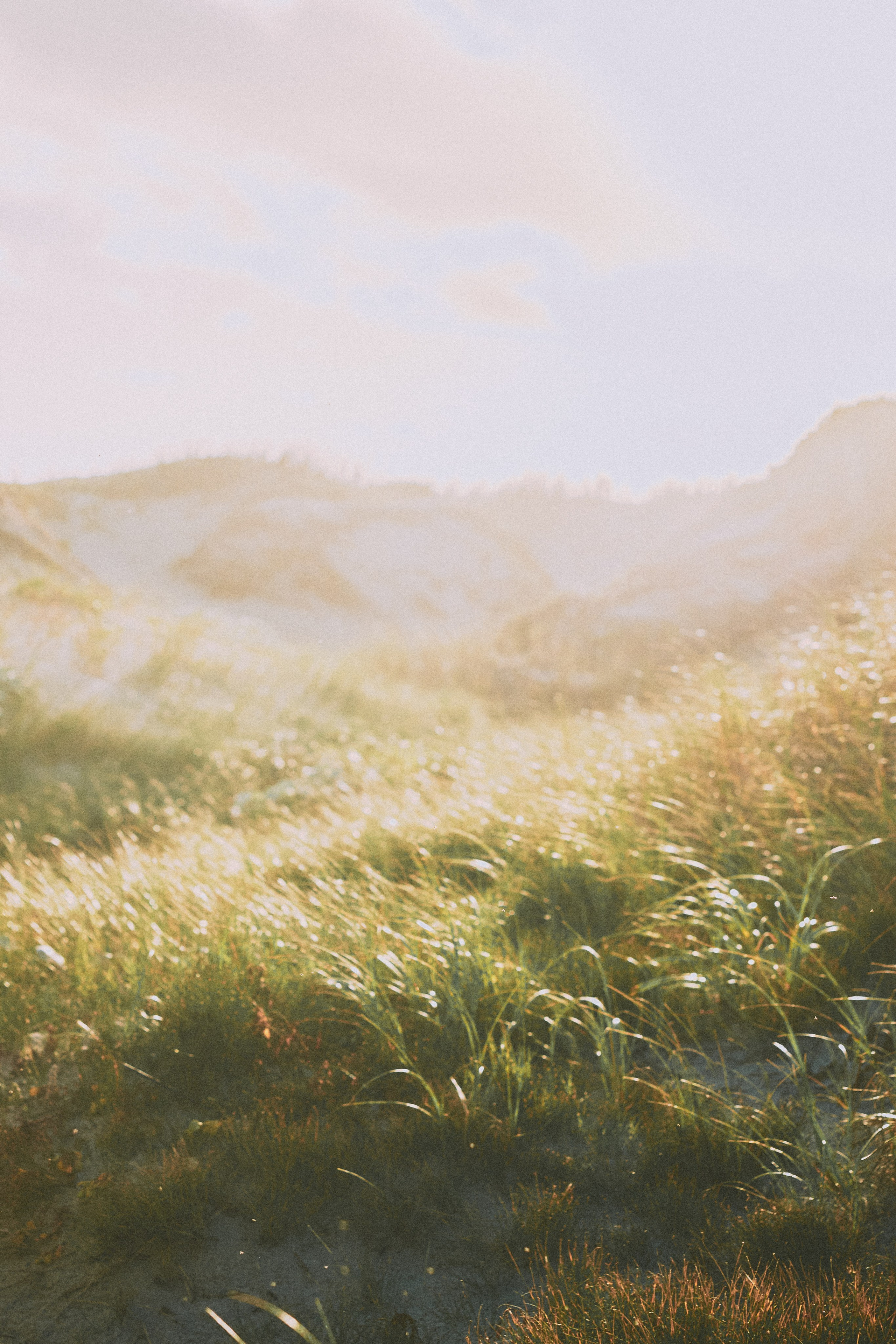 Wuthering Heights. Photographer Cape Town | фотограф Кейптаун