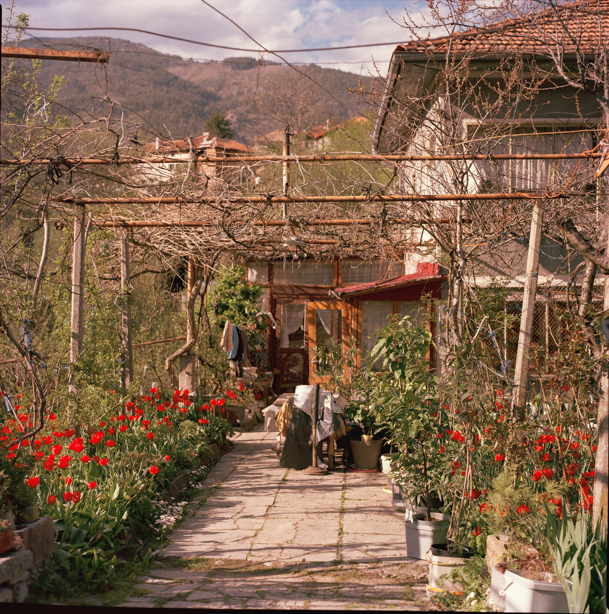 Still Home. Professional Photographer, Videographer in London Dilyana Tankova