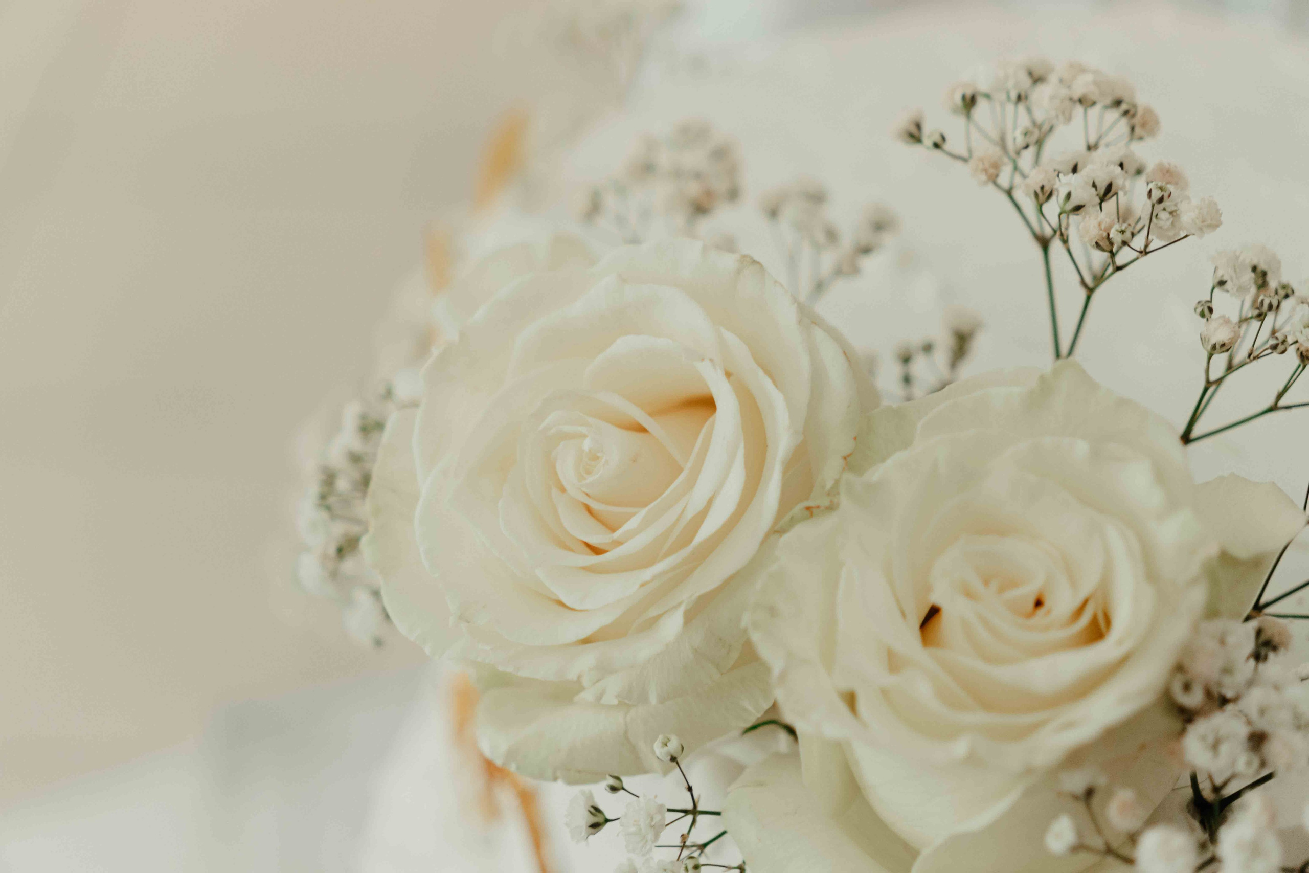 VICTOR Y MELANY BODA CIVIL. Studio KVTA | Fotografía y Video de Bodas en Arequipa