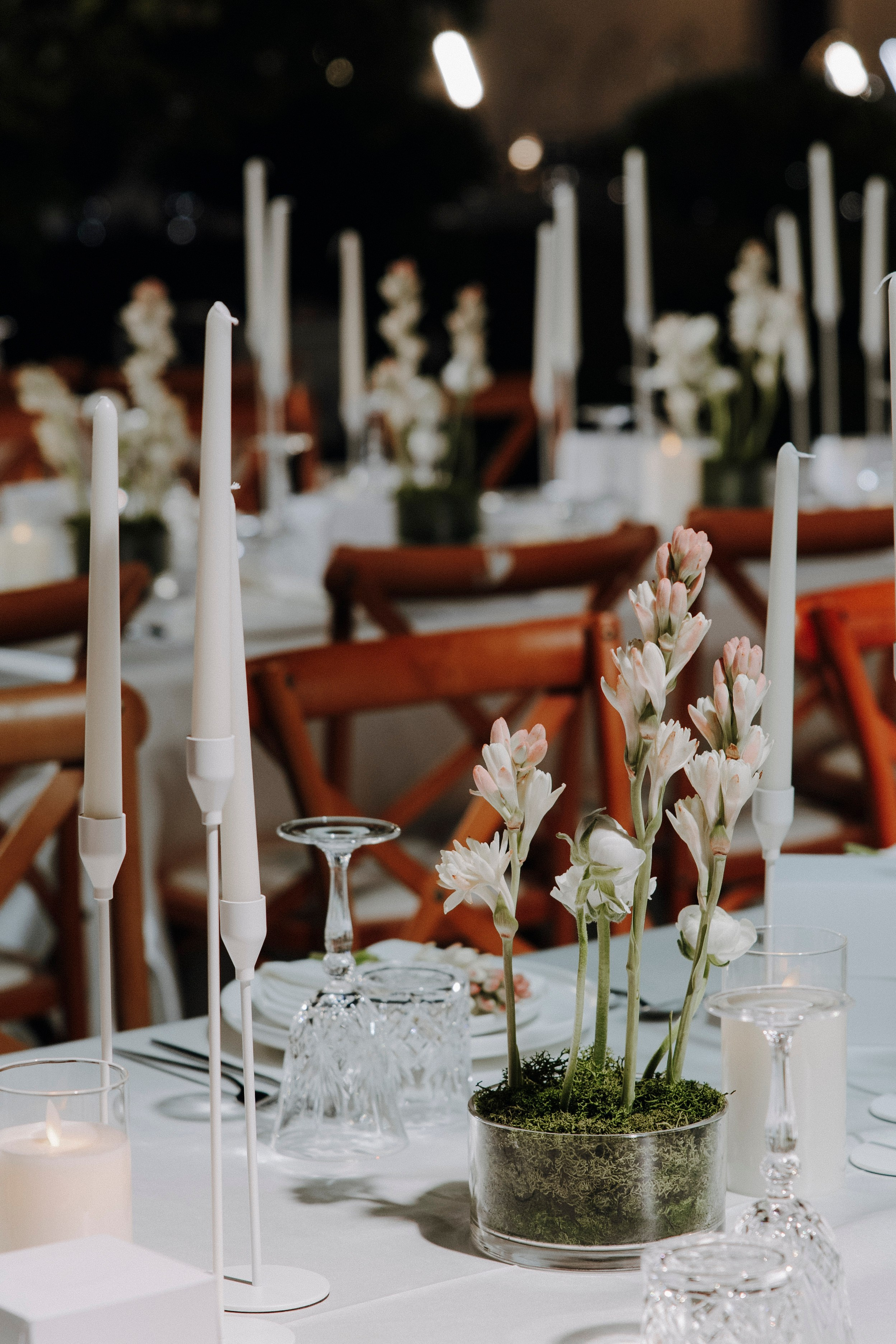 Fatima & Saif Melcha