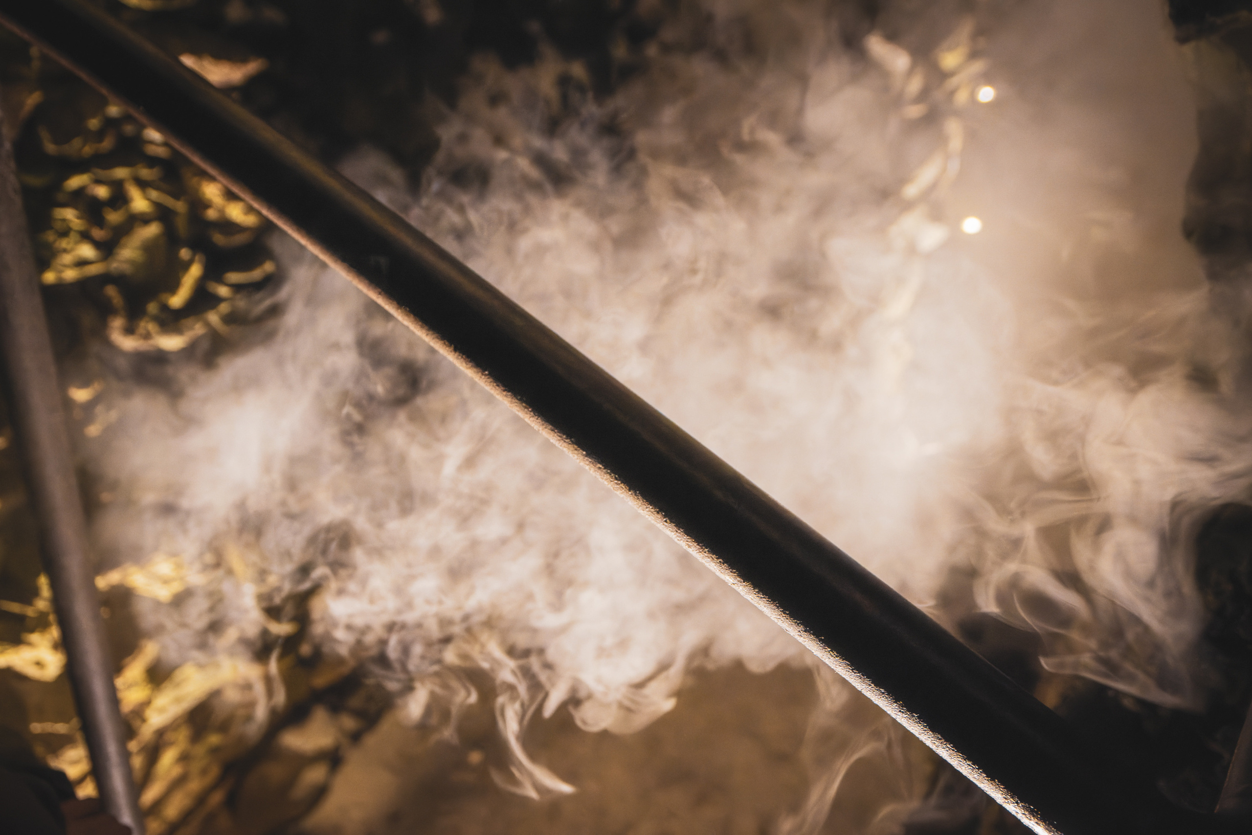 Pimeda metsa jalutamine (Stasja). Nebula 25 — Fotod teie hingele