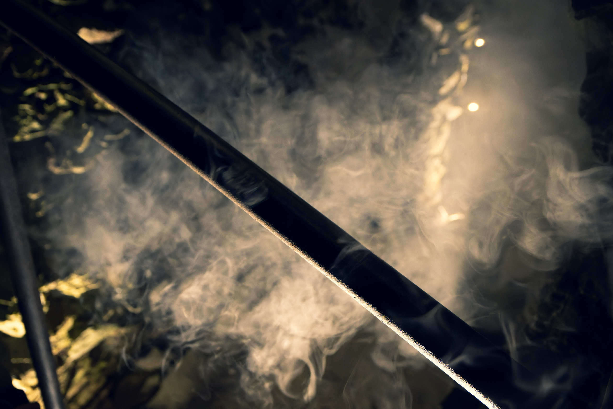 Pimeda metsa jalutamine (Stasja). Nebula 25 — Fotod teie hingele