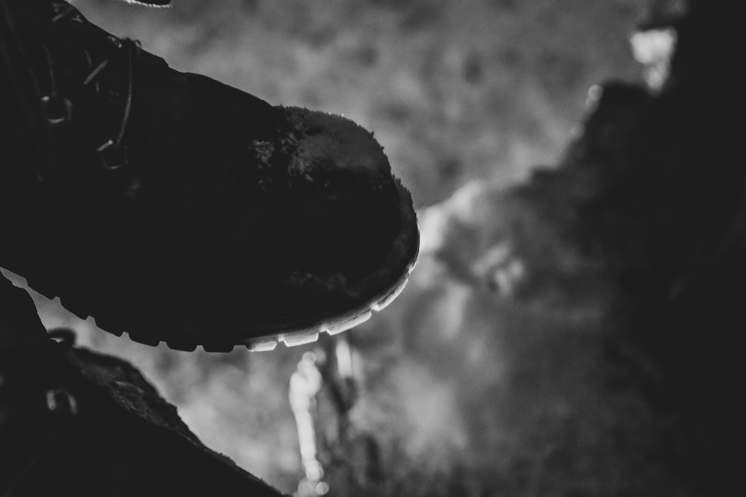 Pimeda metsa jalutamine (Stasja). Nebula 25 — Fotod teie hingele