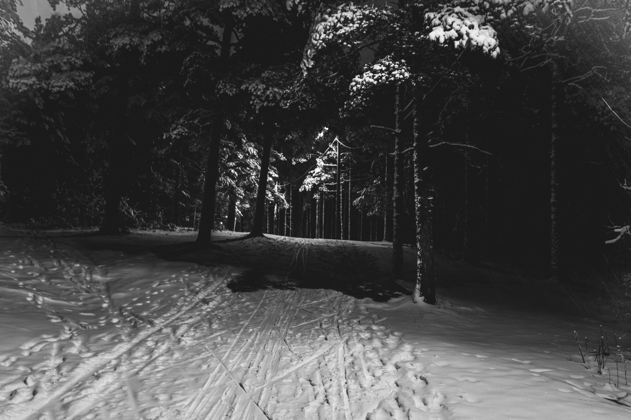 Pimeda metsa jalutamine (Stasja). Nebula 25 — Fotod teie hingele