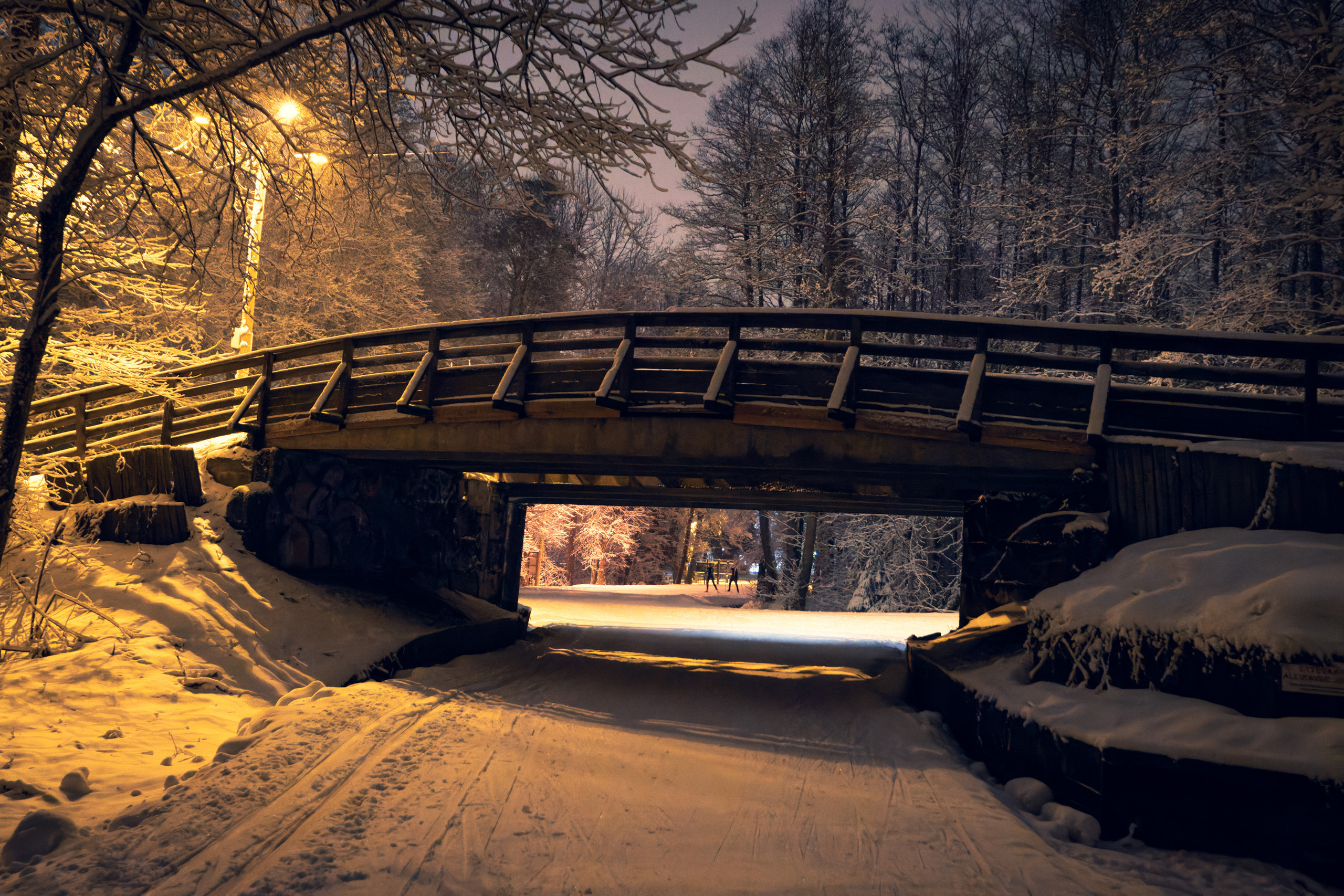 Pimeda metsa jalutamine (Stasja). Nebula 25 — Fotod teie hingele