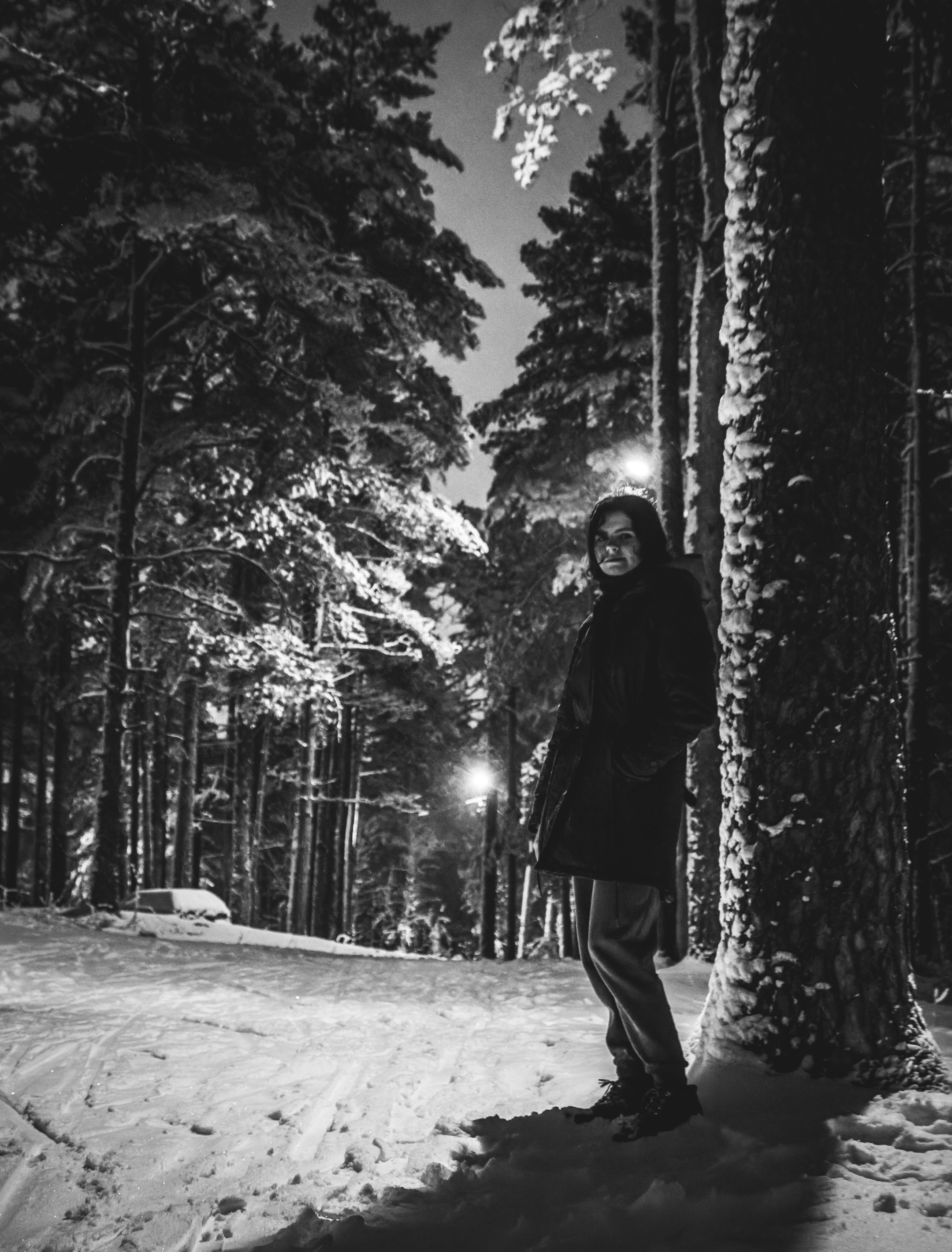 Pimeda metsa jalutamine (Stasja). Nebula 25 — Fotod teie hingele