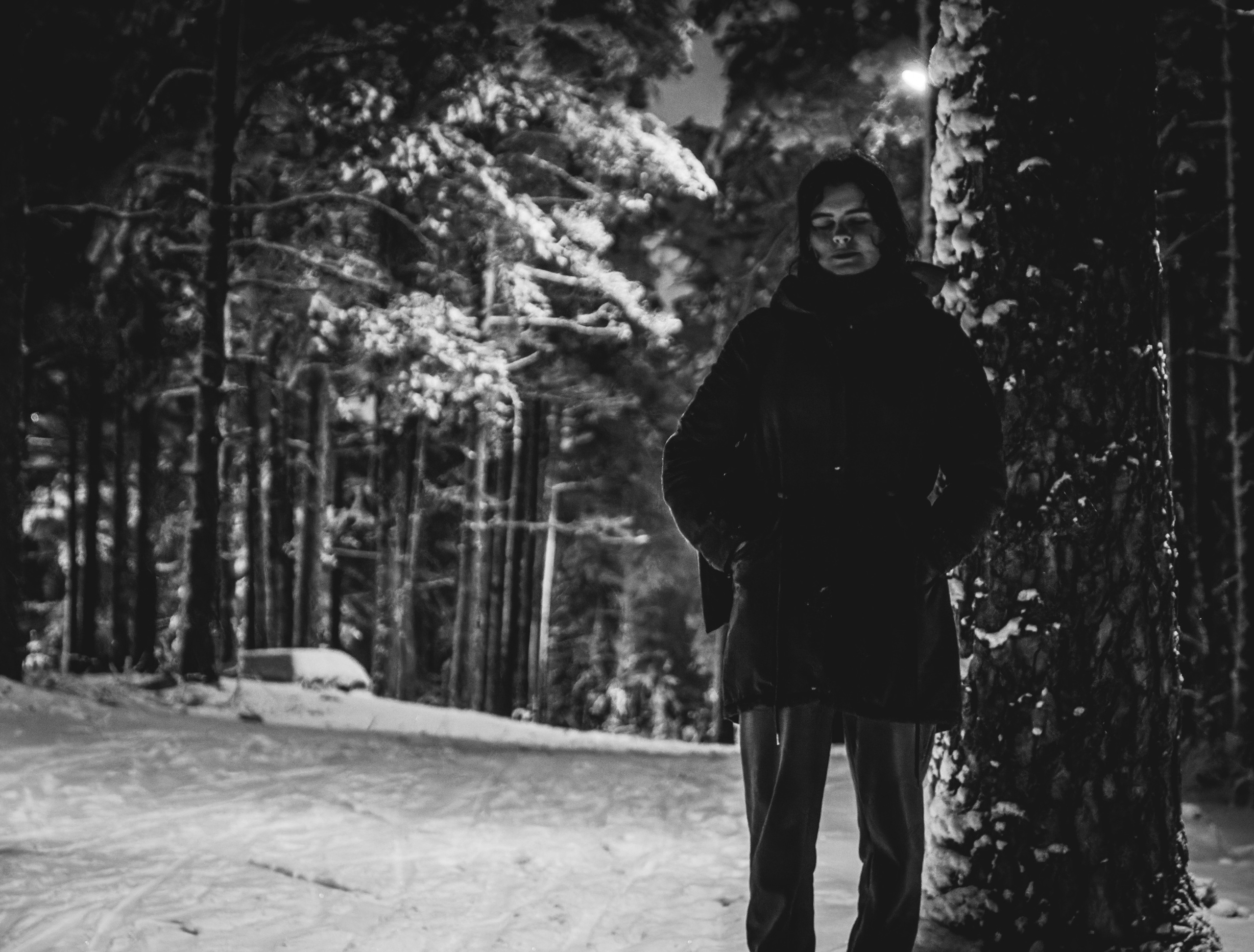 Pimeda metsa jalutamine (Stasja). Nebula 25 — Fotod teie hingele