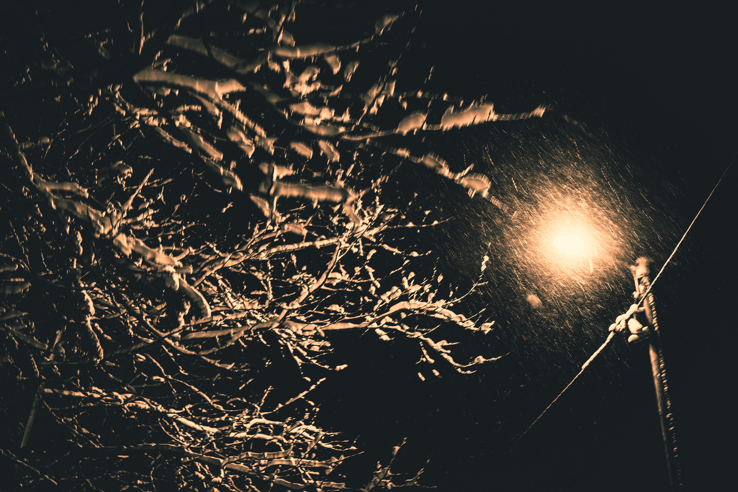 Pimeda metsa jalutamine (Stasja). Nebula 25 — Fotod teie hingele