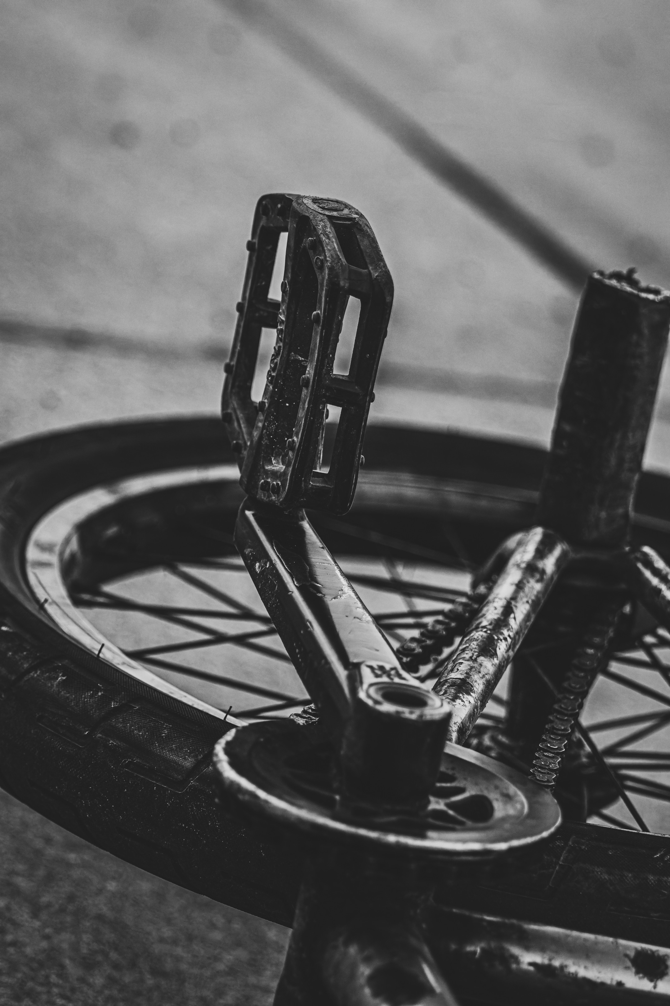 Ratta-Ralli (kutsutud tulijad). Nebula 25 — Fotod teie hingele