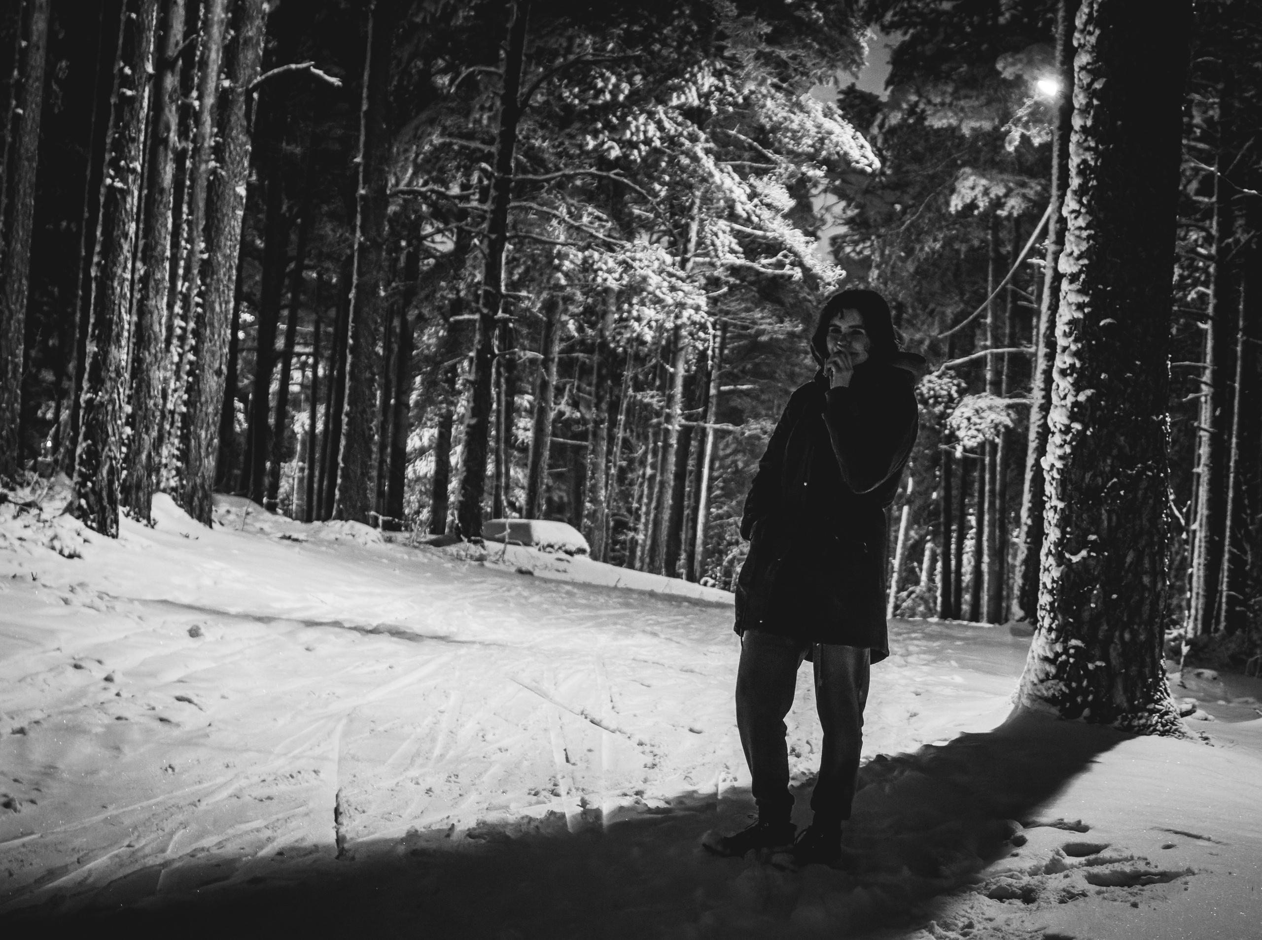 Pimeda metsa jalutamine (Stasja). Nebula 25 — Fotod teie hingele