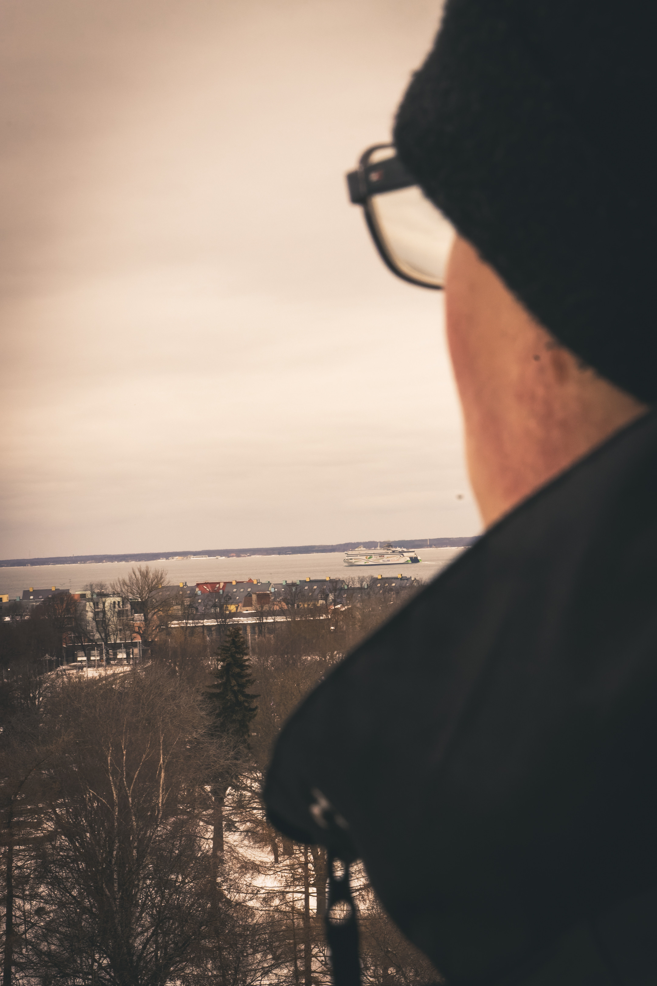 Talvine jalutuskäik (Artjom). Nebula 25 — Fotod teie hingele