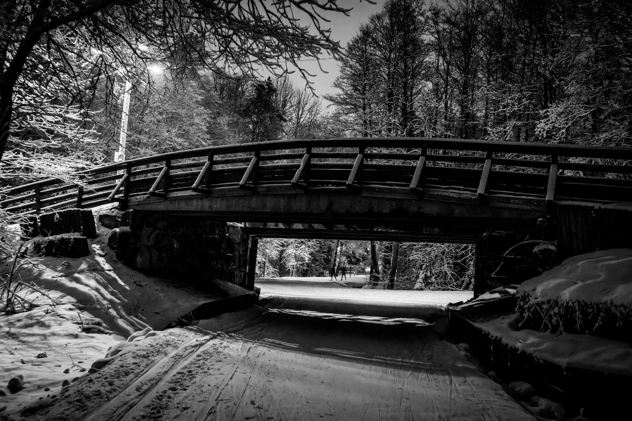 Pimeda metsa jalutamine (Stasja). Nebula 25 — Fotod teie hingele