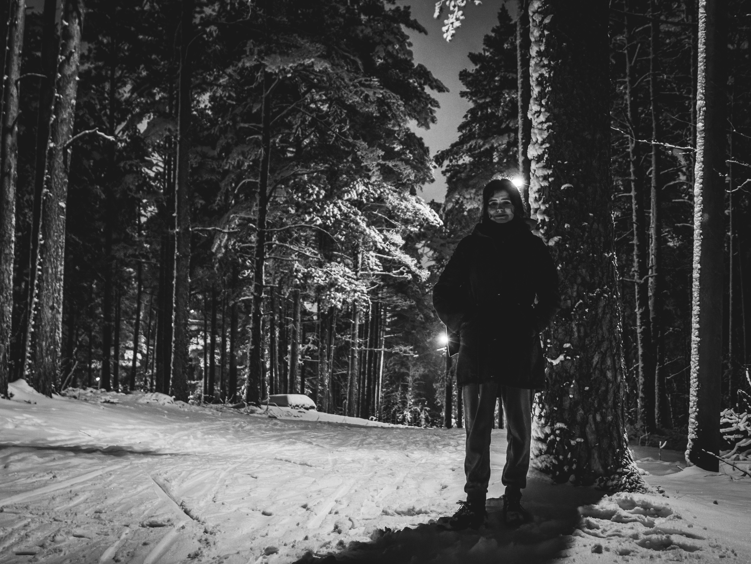 Pimeda metsa jalutamine (Stasja). Nebula 25 — Fotod teie hingele