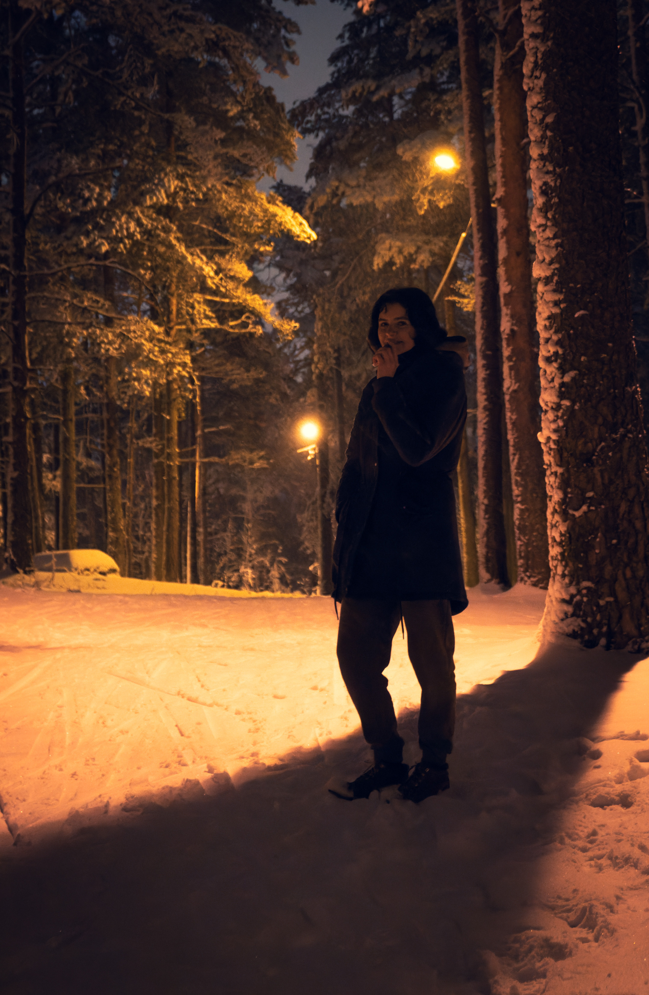 Pimeda metsa jalutamine (Stasja). Nebula 25 — Fotod teie hingele