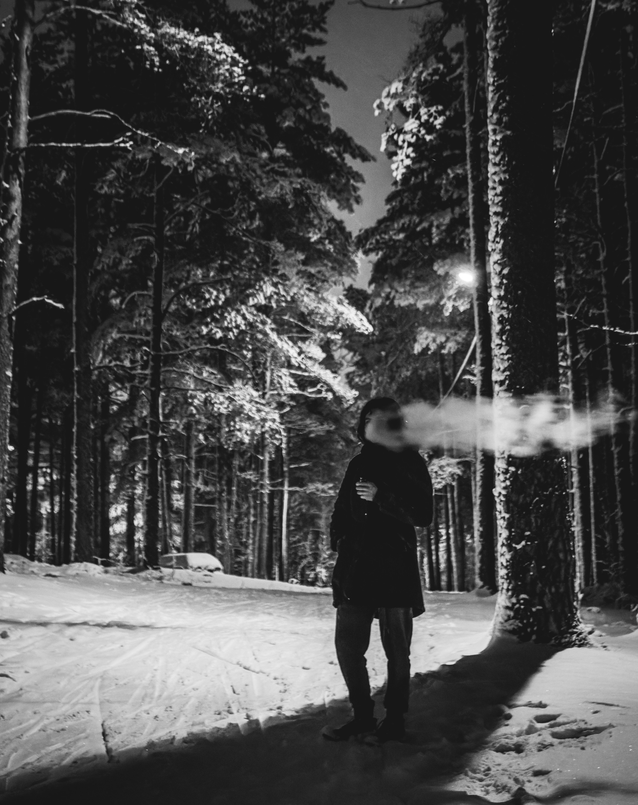 Pimeda metsa jalutamine (Stasja). Nebula 25 — Fotod teie hingele