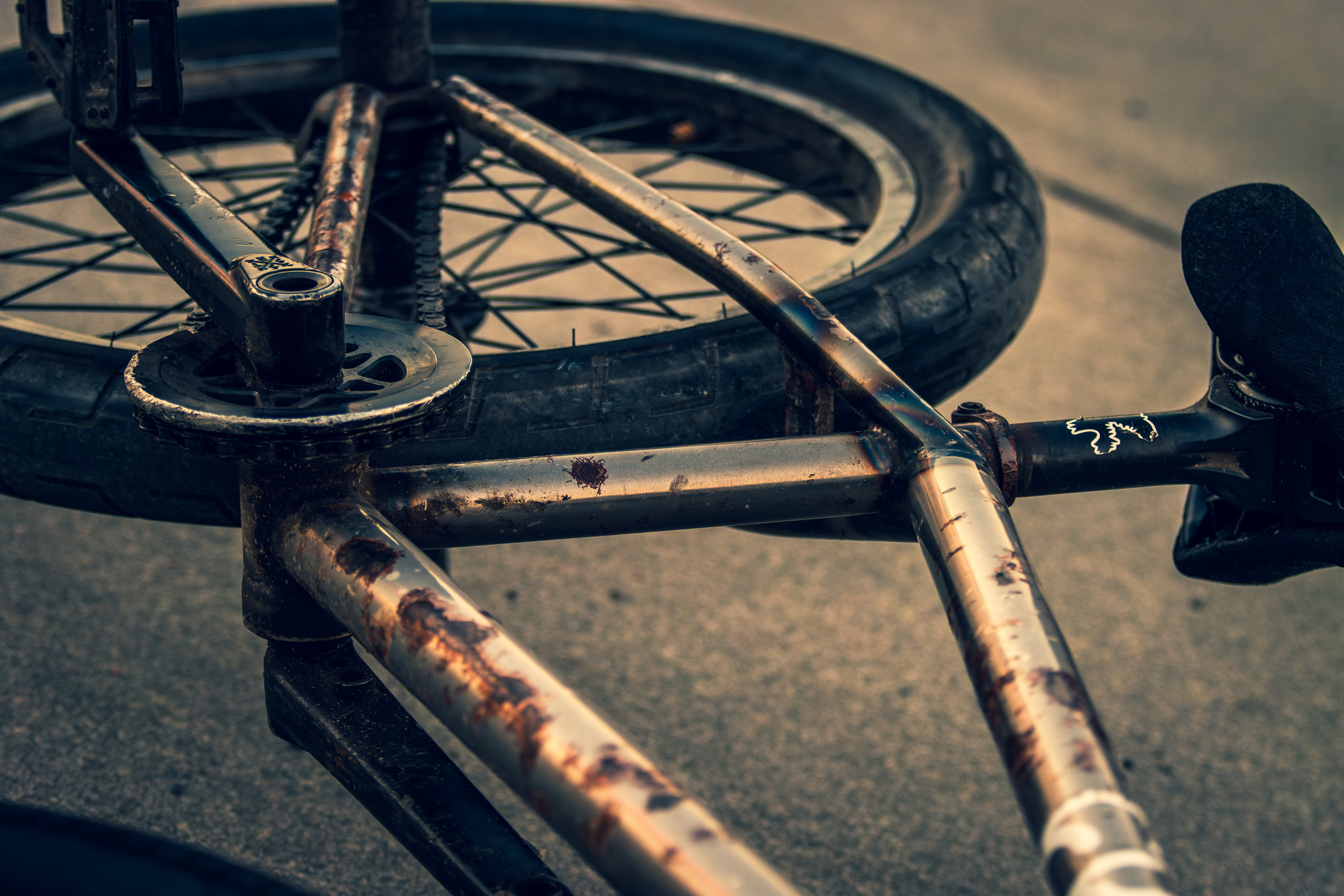 Ratta-Ralli (kutsutud tulijad). Nebula 25 — Fotod teie hingele